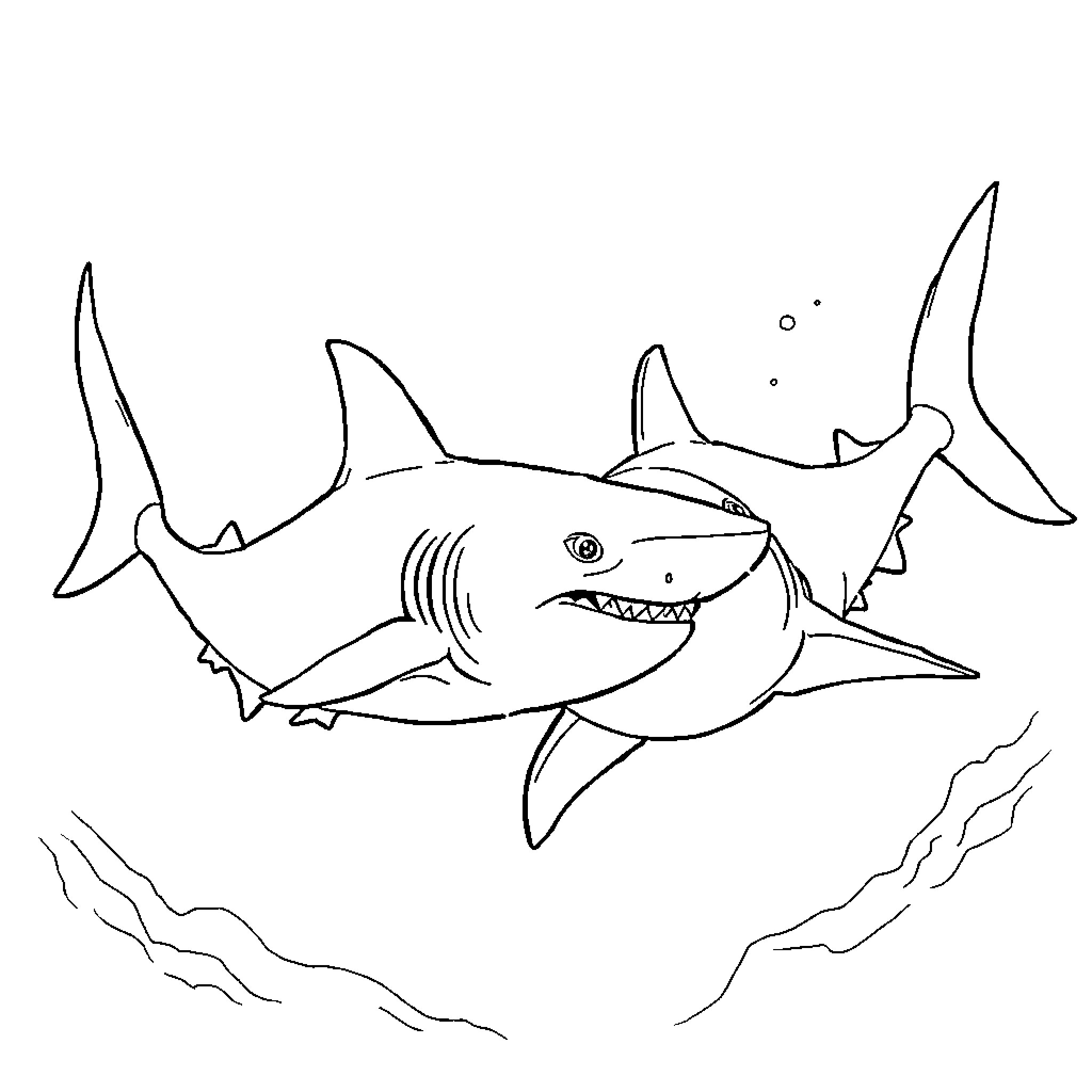Shark swimming aggressively in the ocean Coloring Page (free black-and-white line drawing printable PDF for all, from beginners to advanced learners, including children, teens, adults, and seniors)