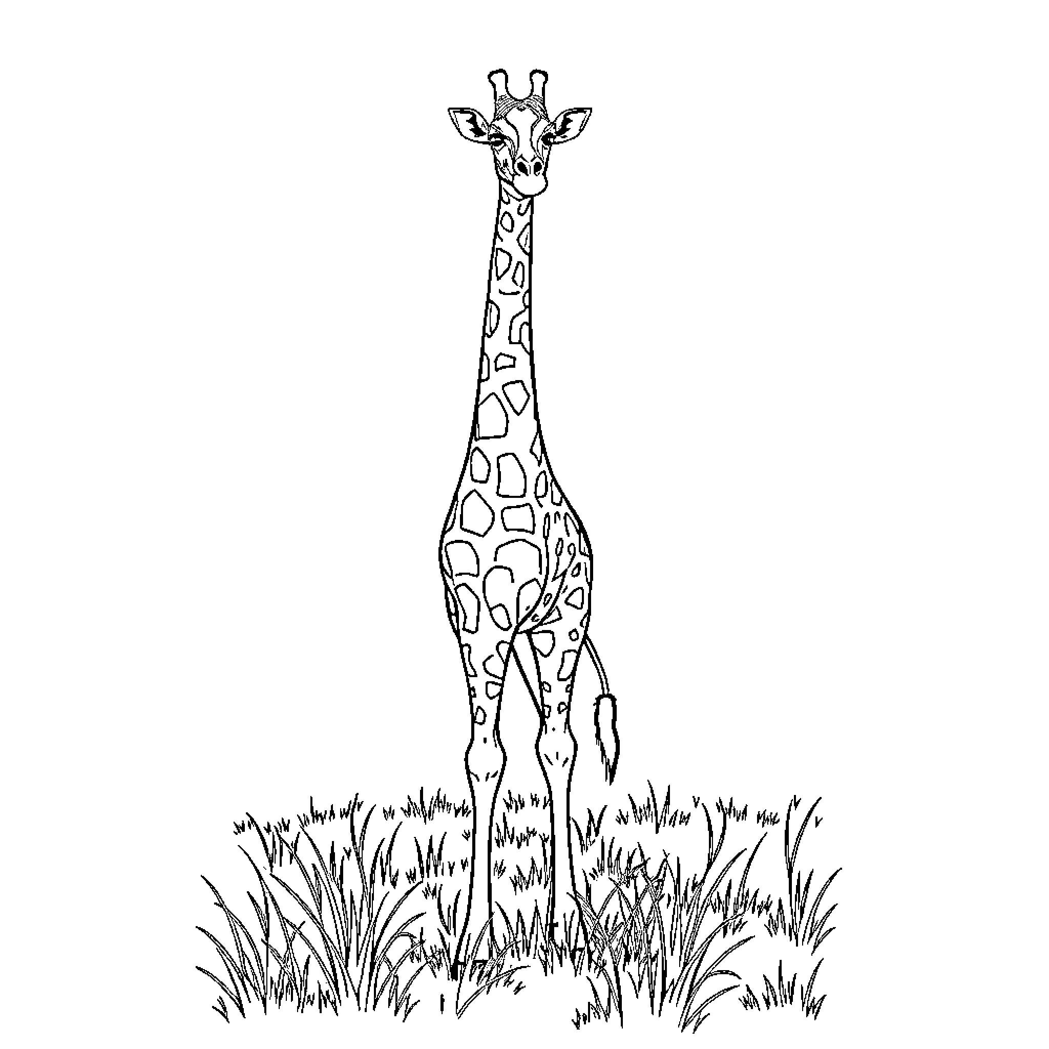 Giraffe standing tall in the wild Coloring Page (free black-and-white line drawing printable PDF for all, from beginners to advanced learners, including children, teens, adults, and seniors)