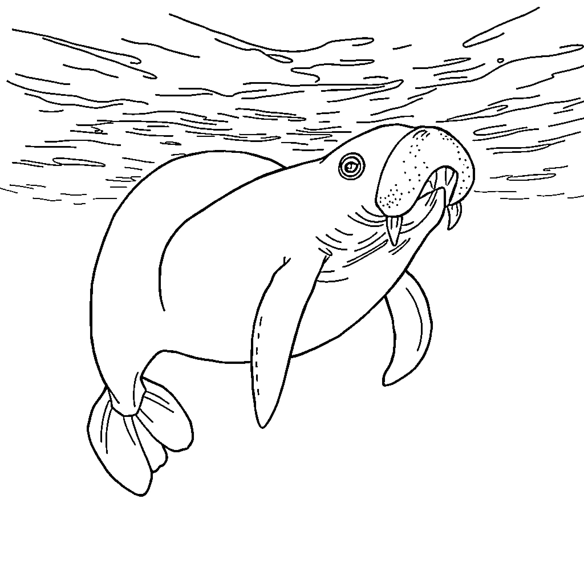 Manatee swimming in the ocean Coloring Page (free black-and-white line drawing printable PDF for all, from beginners to advanced learners, including children, teens, adults, and seniors)