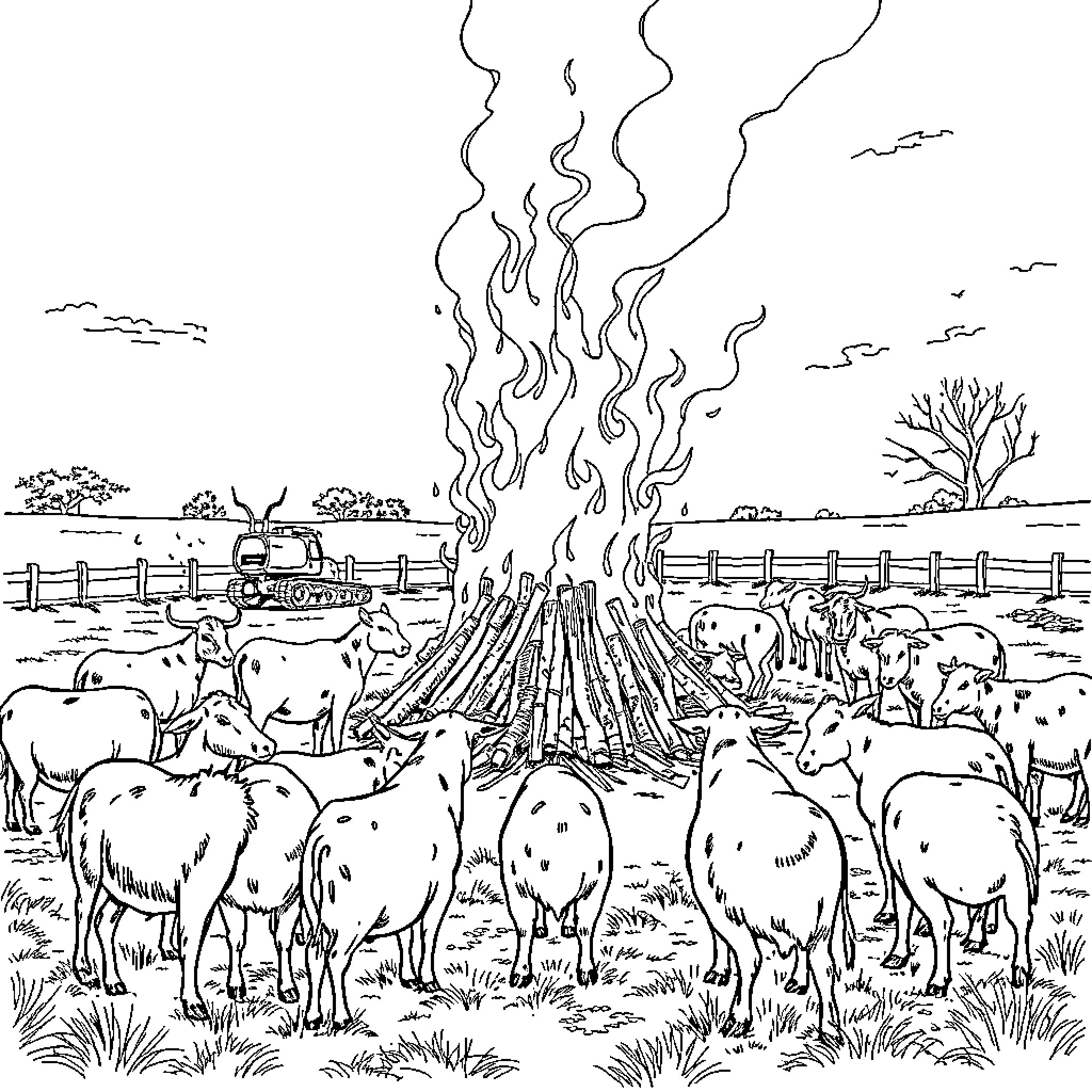 Animals gathered around a campfire in the wilderness Coloring Page (free black-and-white line drawing printable PDF for all, from beginners to advanced learners, including children, teens, adults, and seniors)