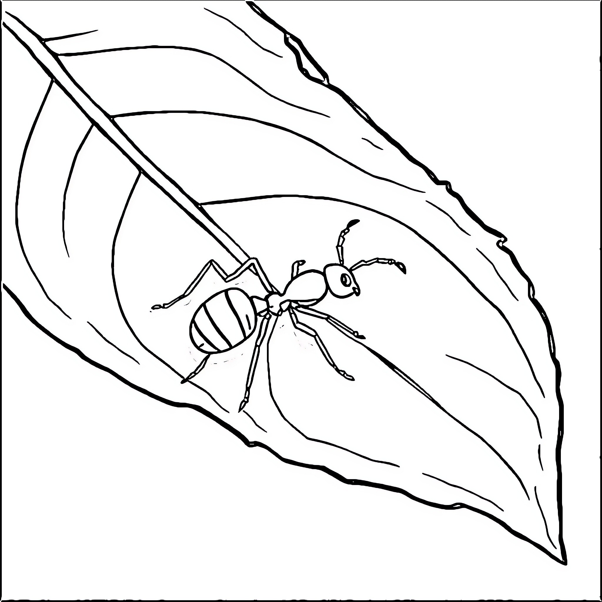 Ant exploring the leaf's surface Coloring Page (free black-and-white line drawing printable PDF for all, from beginners to advanced learners, including children, teens, adults, and seniors)