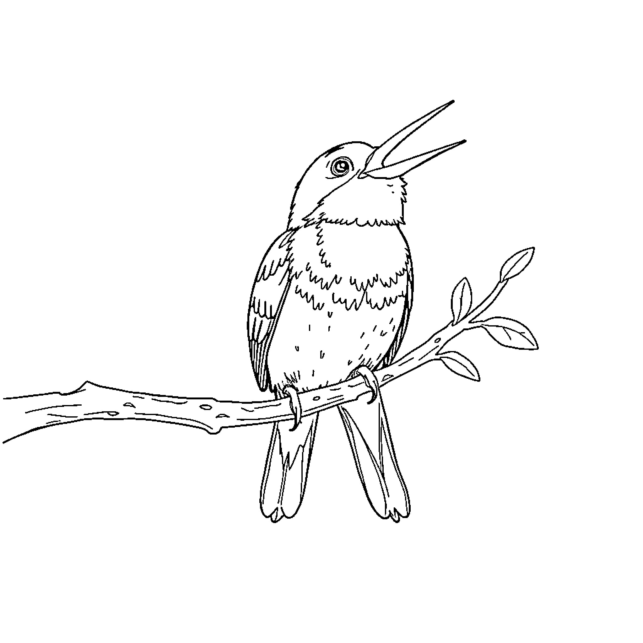 Bird perched on a branch, singing Coloring Page (free black-and-white line drawing printable PDF for all, from beginners to advanced learners, including children, teens, adults, and seniors)