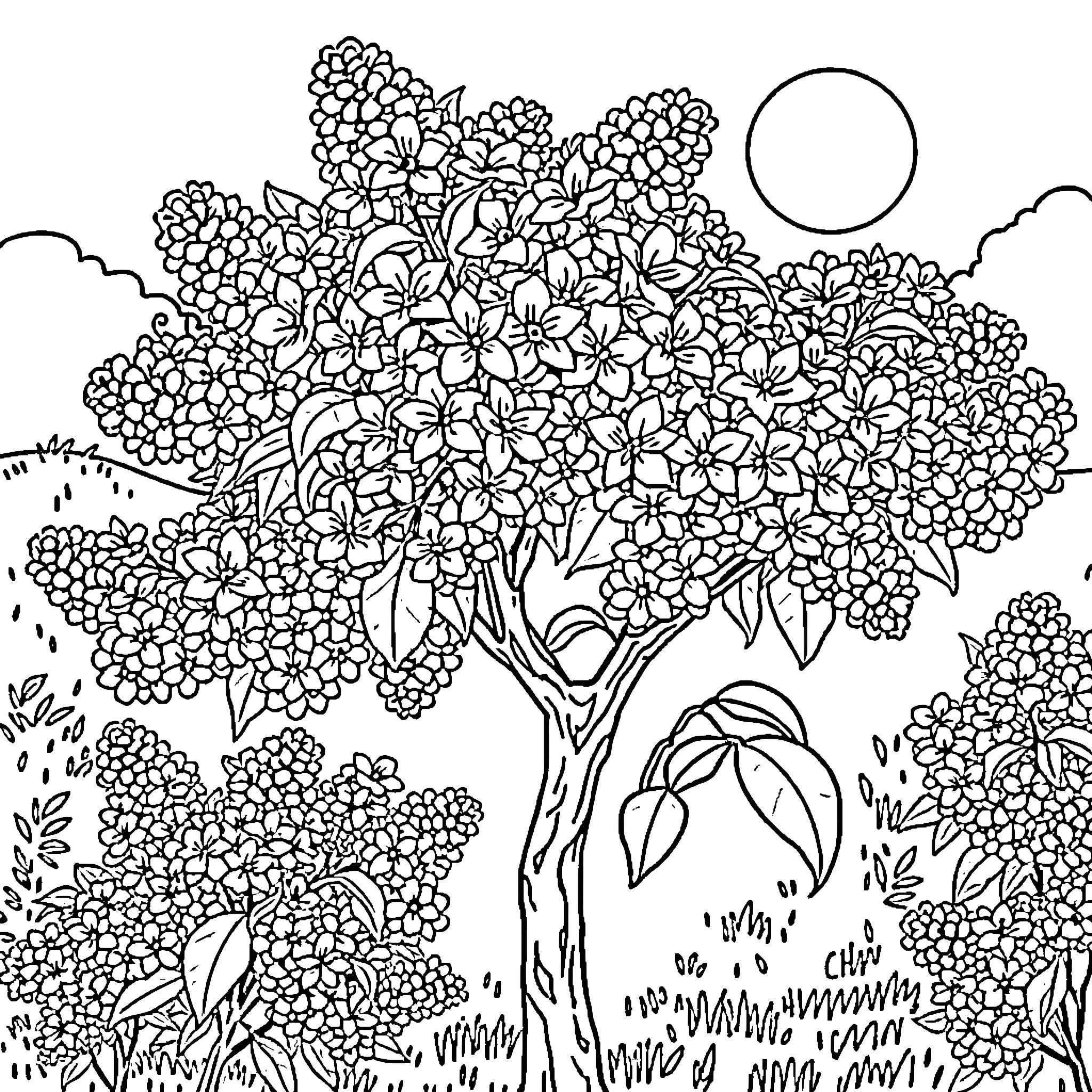Lilac Garden Blooming Amidst Nature's Embrace Coloring Page (free black-and-white line drawing printable PDF for all, from beginners to advanced learners, including children, teens, adults, and seniors)