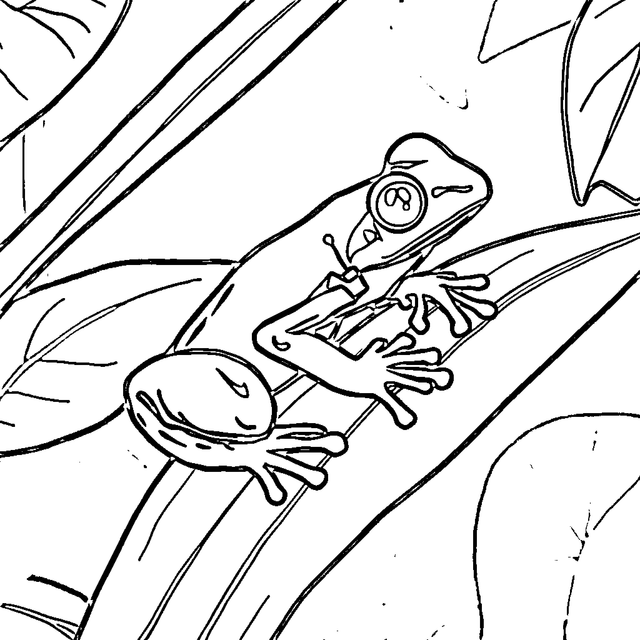 Echofrog exploring the wilderness Coloring Page (free black-and-white line drawing printable PDF for all, from beginners to advanced learners, including children, teens, adults, and seniors)