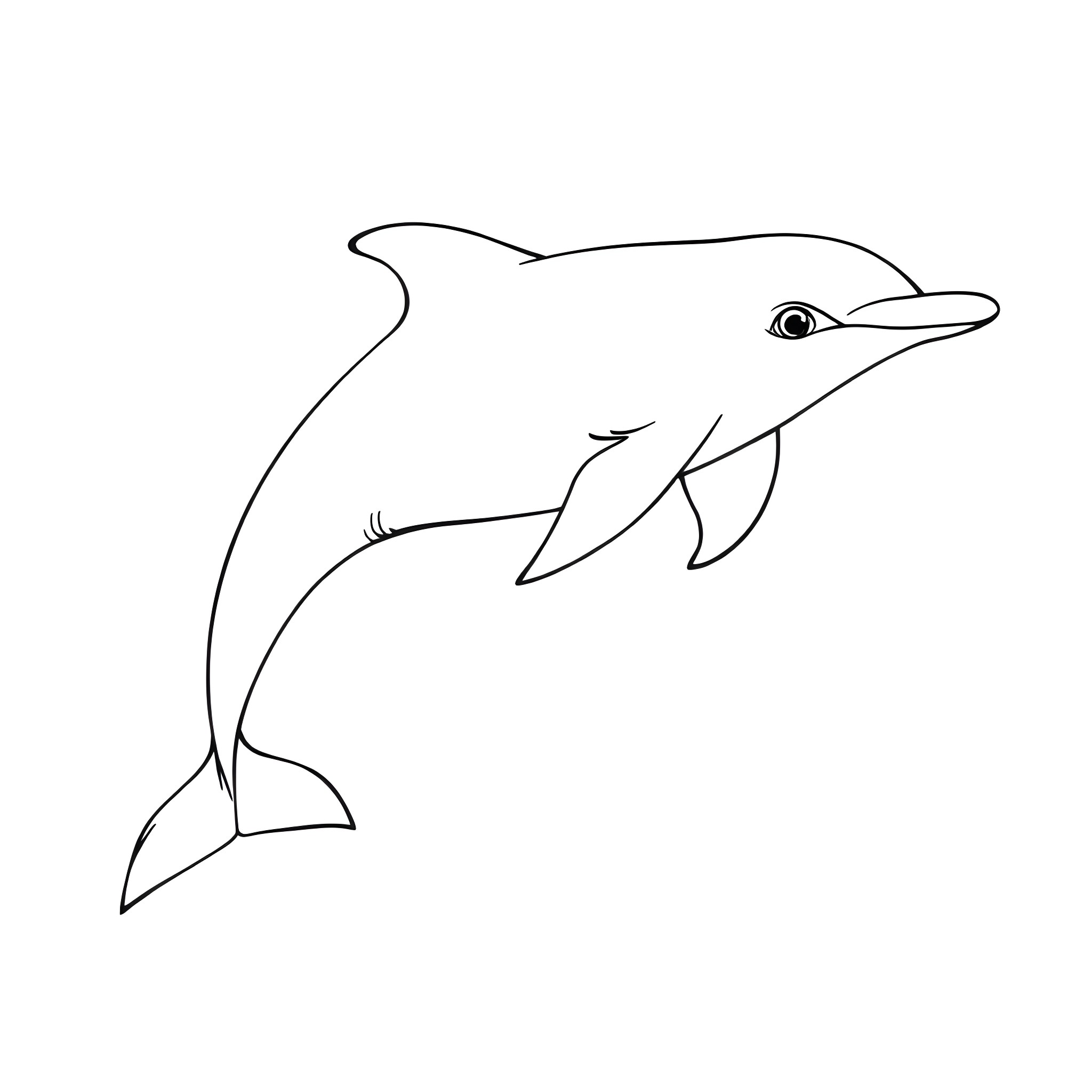 Dolphin swimming gracefully Coloring Page (free black-and-white line drawing printable PDF for all, from beginners to advanced learners, including children, teens, adults, and seniors)