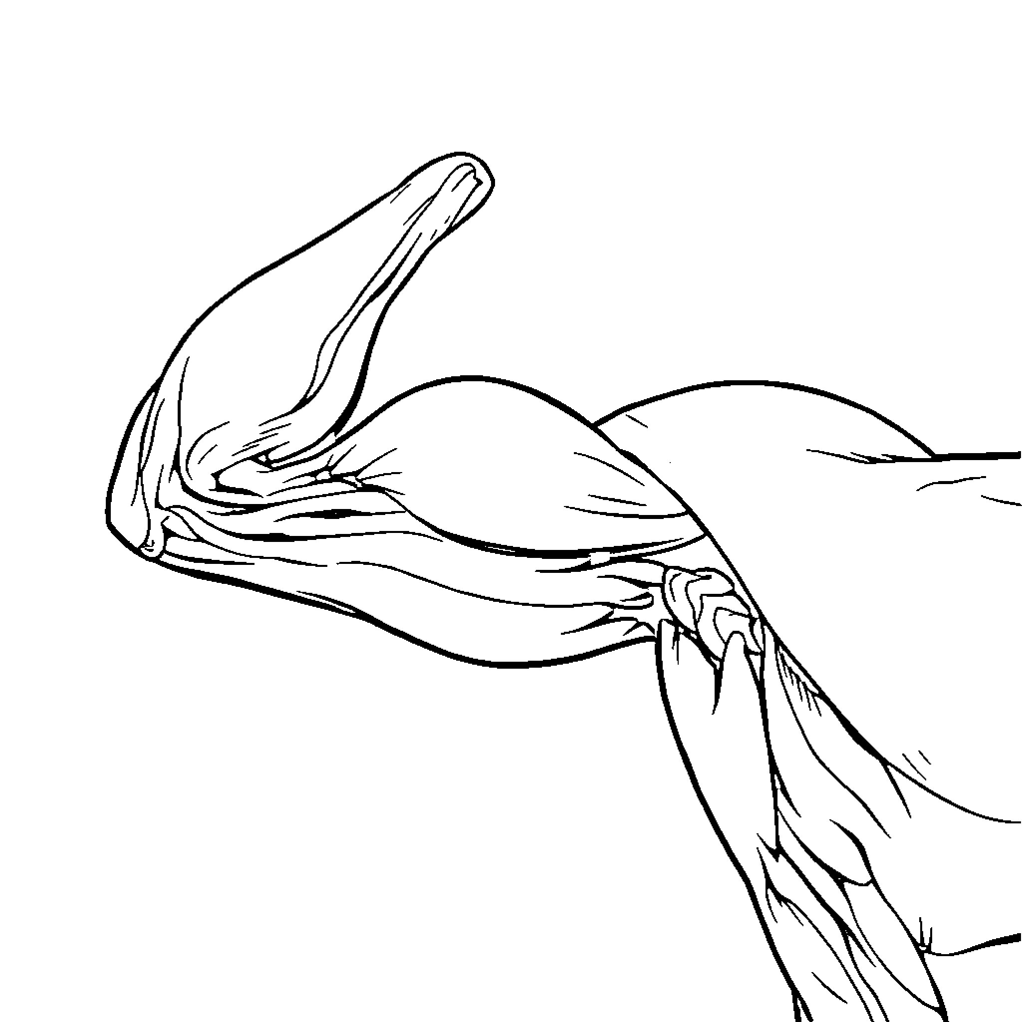 Muscle Mermaid Resting on the Ocean Floor Coloring Page (free black-and-white line drawing printable PDF for all, from beginners to advanced learners, including children, teens, adults, and seniors)
