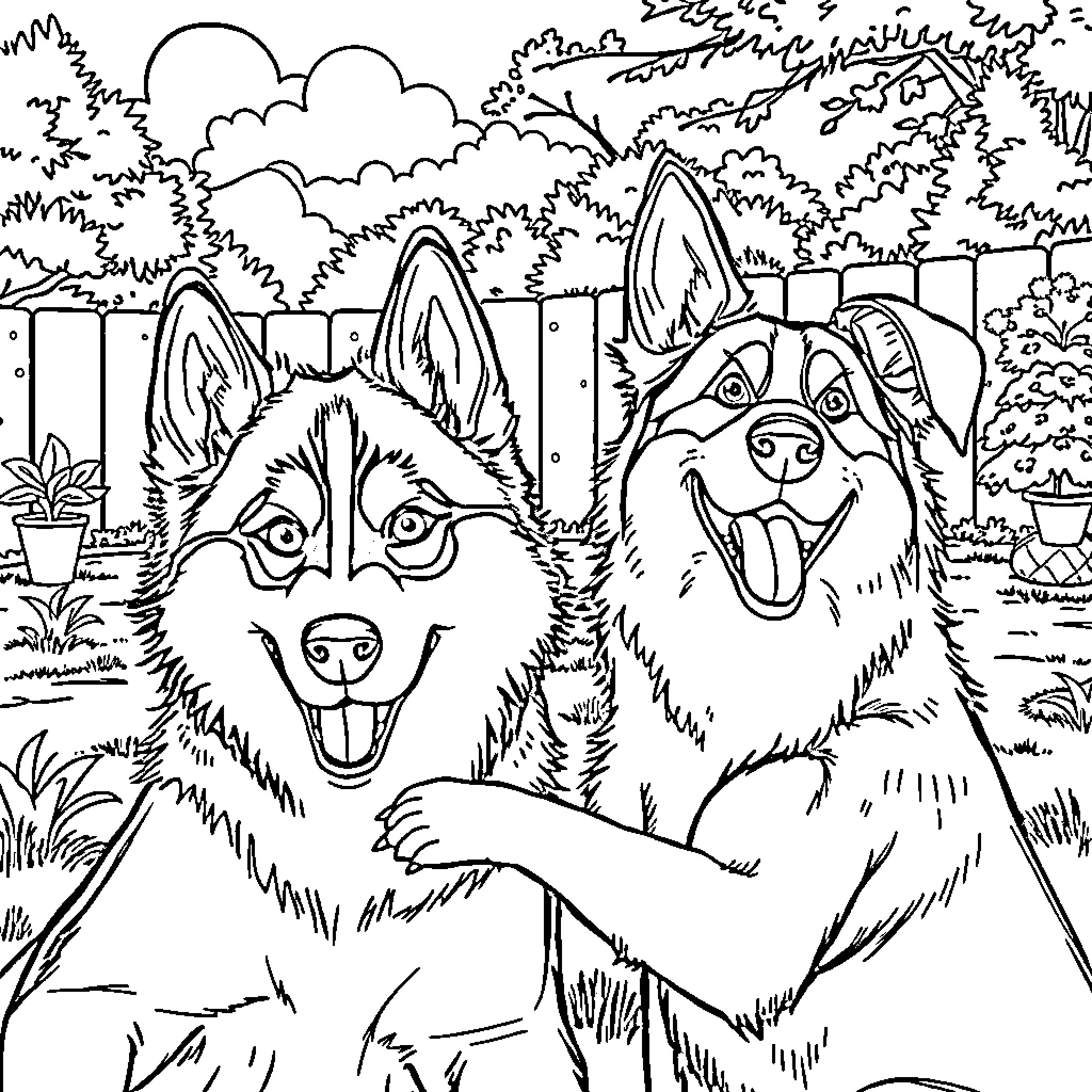 Husky dogs playing happily in the backyard Coloring Page (free black-and-white line drawing printable PDF for all, from beginners to advanced learners, including children, teens, adults, and seniors)