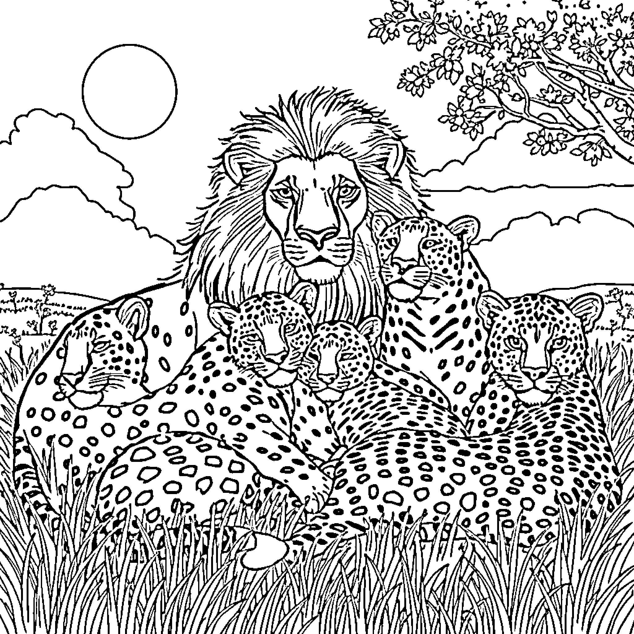 Big Cat Family in the African Savanna Coloring Page (free black-and-white line drawing printable PDF for all, from beginners to advanced learners, including children, teens, adults, and seniors)