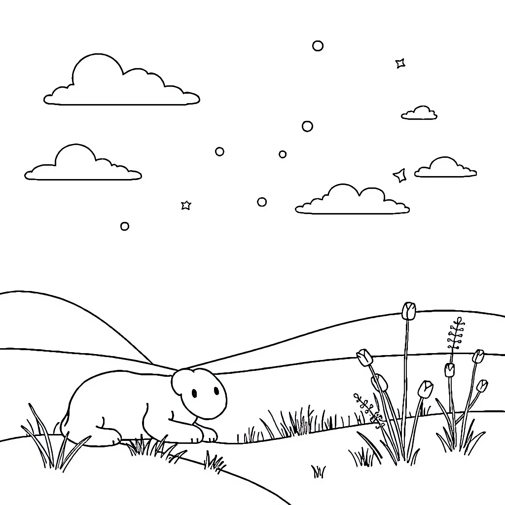 Image of a simple landscape with clouds and a turtle Coloring Page (free black-and-white line drawing printable PDF for all, from beginners to advanced learners, including children, teens, adults, and seniors)