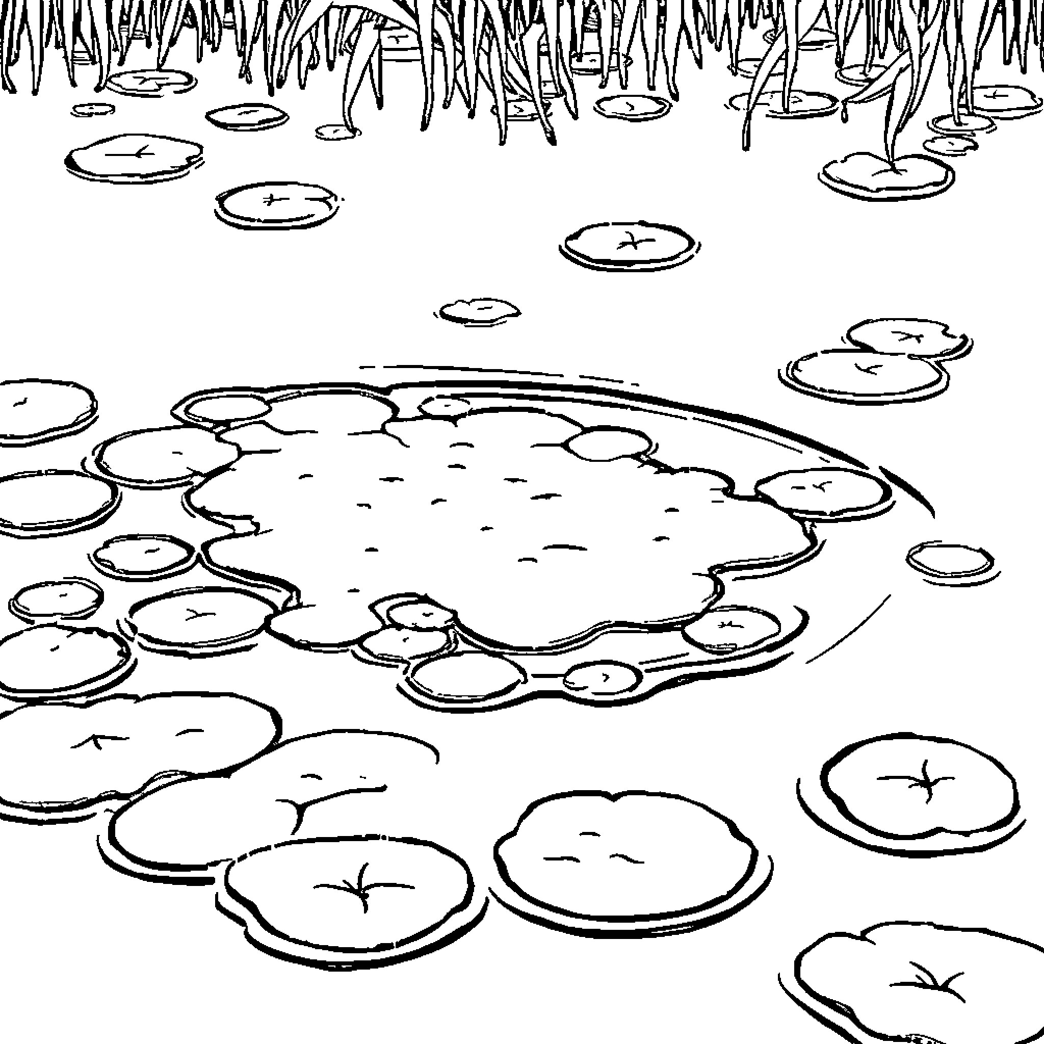 Algae floating on a pond Coloring Page (free black-and-white line drawing printable PDF for all, from beginners to advanced learners, including children, teens, adults, and seniors)