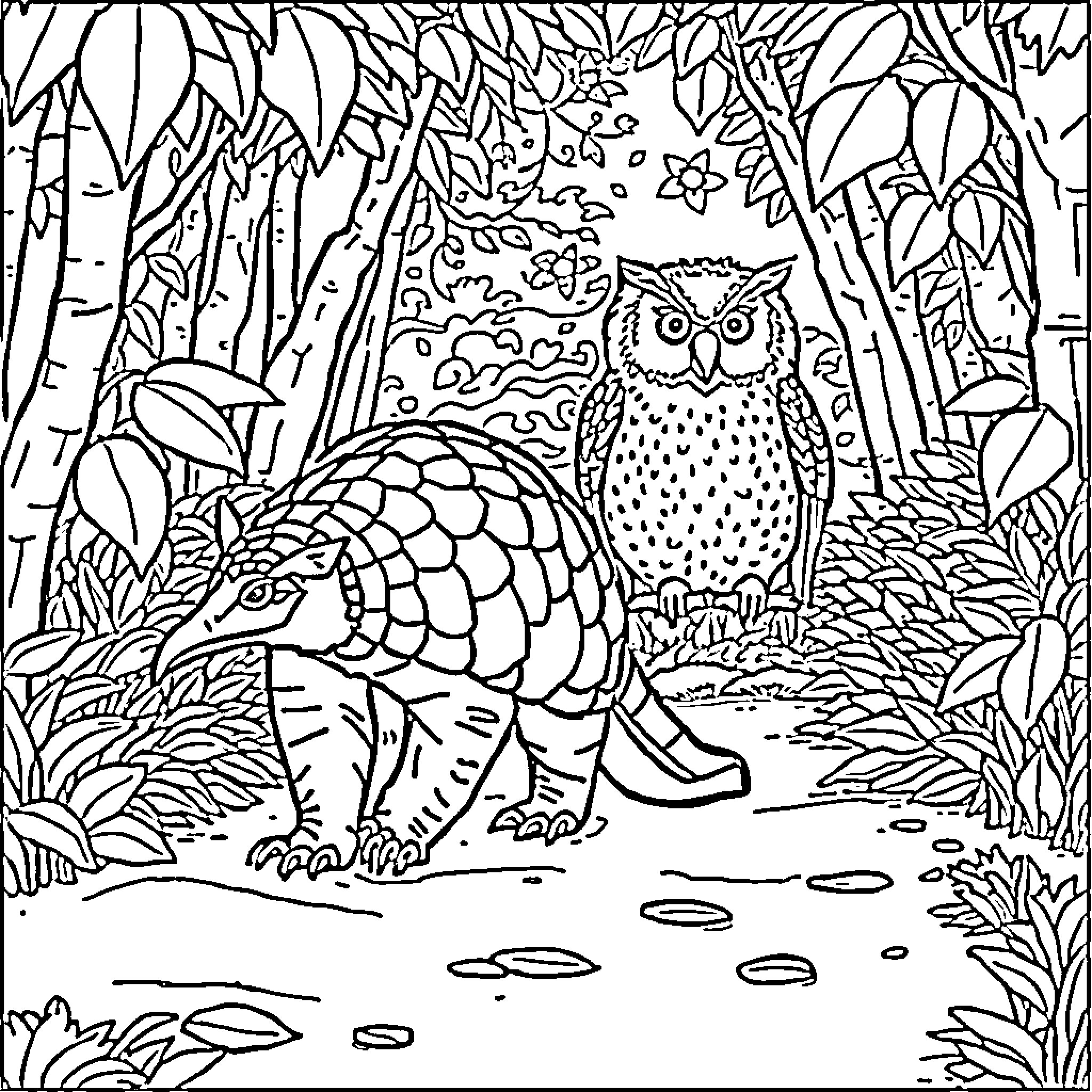 Pangolin and Owl in Enchanted Forest Coloring Page (free black-and-white line drawing printable PDF for all, from beginners to advanced learners, including children, teens, adults, and seniors)