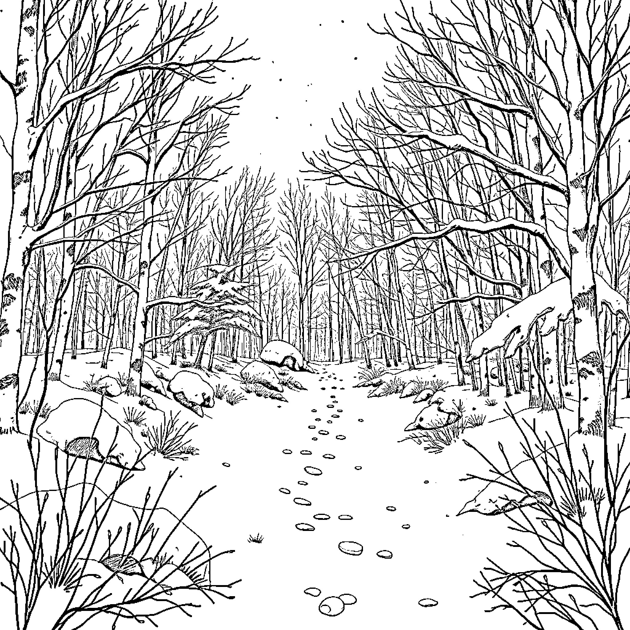 Woodland trail through snowy forest Coloring Page (free black-and-white line drawing printable PDF for all, from beginners to advanced learners, including children, teens, adults, and seniors)