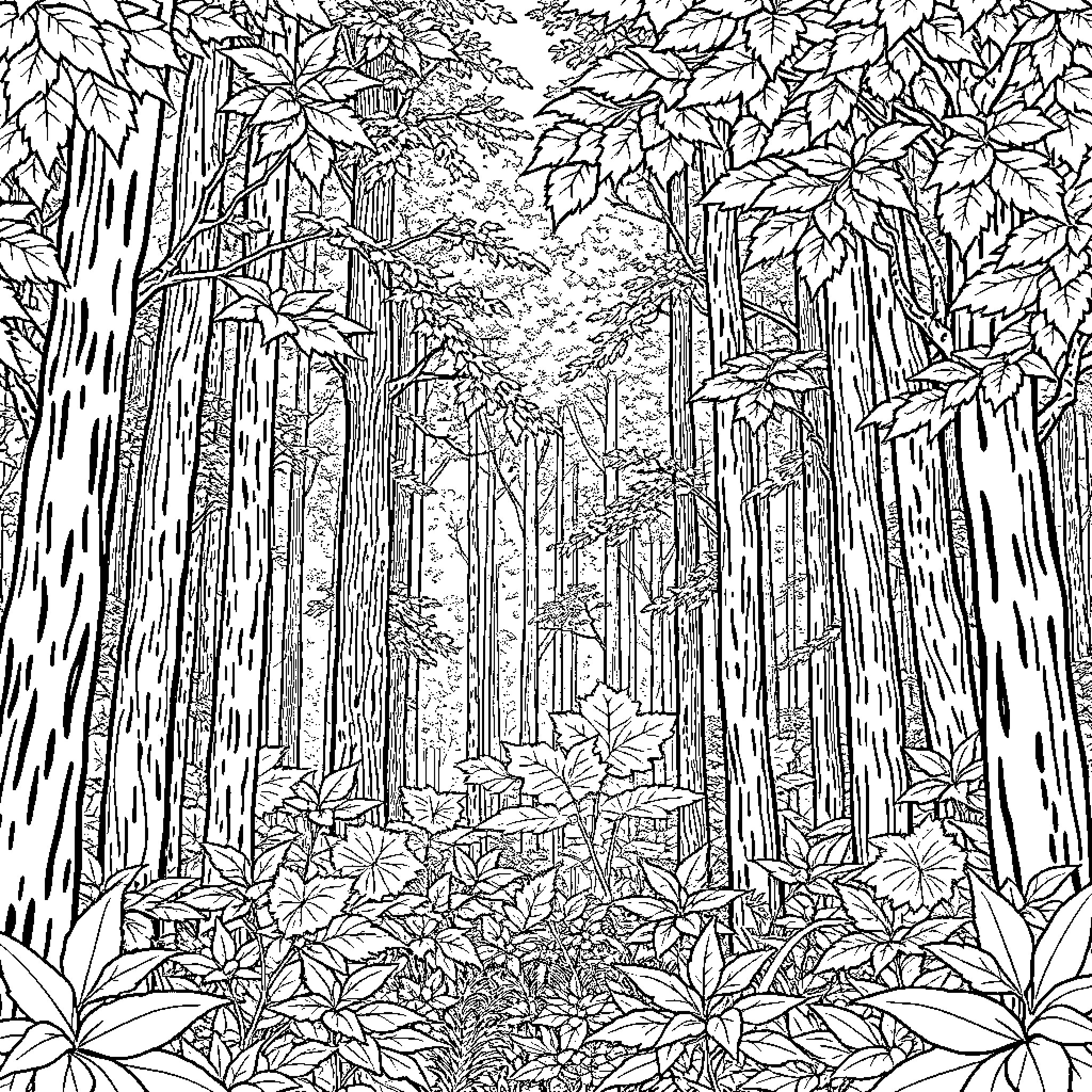 Forest filled with intricate natural scenery Coloring Page (free black-and-white line drawing printable PDF for all, from beginners to advanced learners, including children, teens, adults, and seniors)