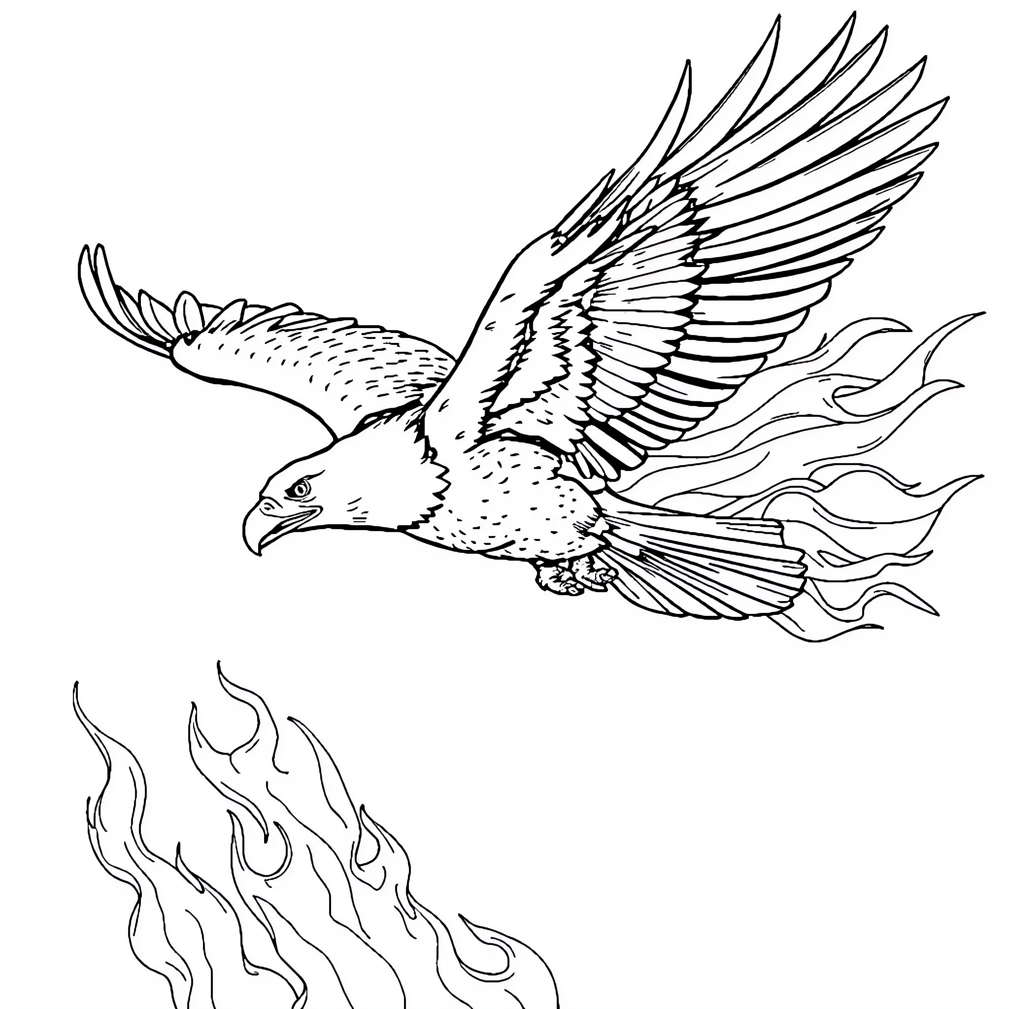 Eagle soaring through flames Coloring Page (free black-and-white line drawing printable PDF for all, from beginners to advanced learners, including children, teens, adults, and seniors)
