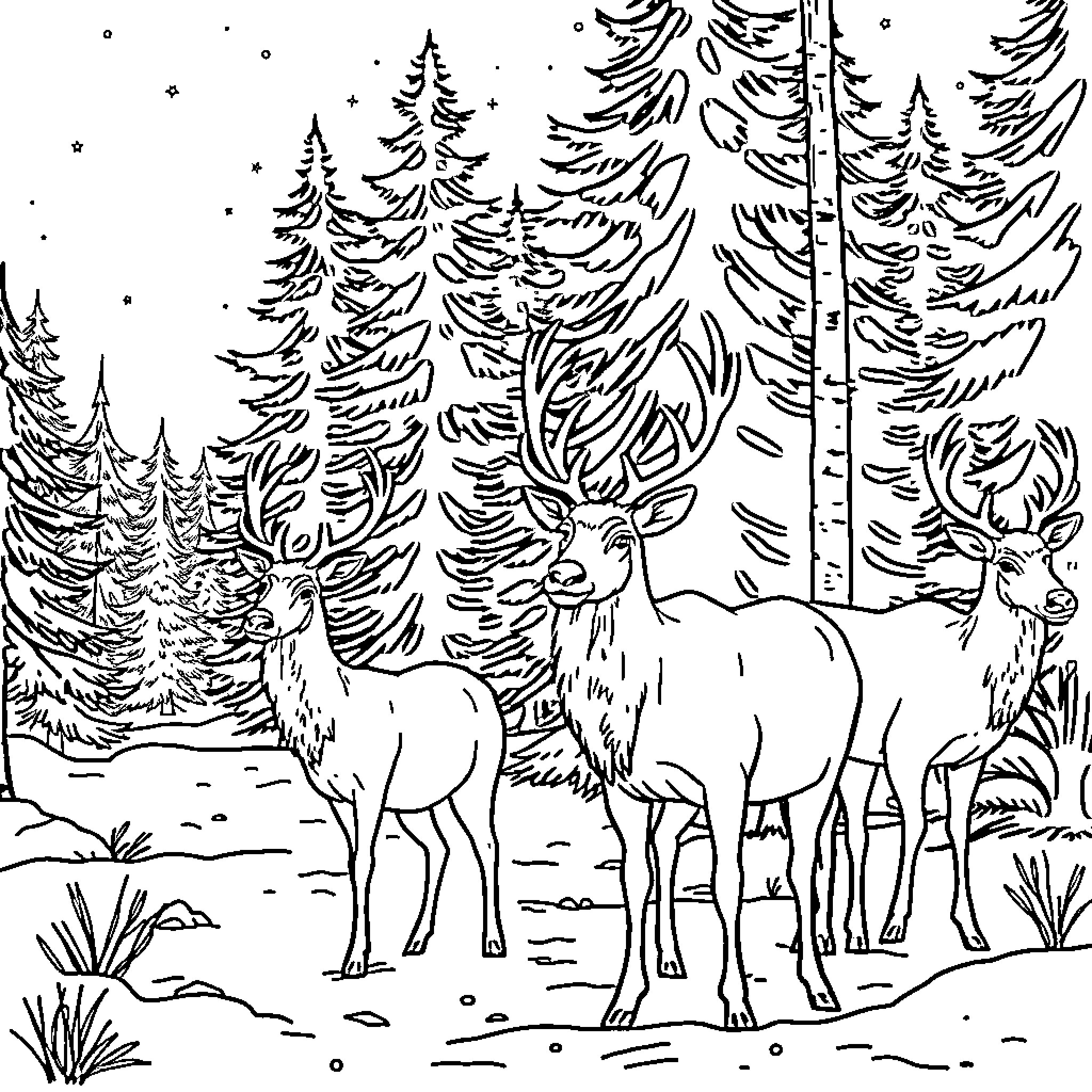 Reindeer in a Snowy Forest Landscape Coloring Page (free black-and-white line drawing printable PDF for all, from beginners to advanced learners, including children, teens, adults, and seniors)