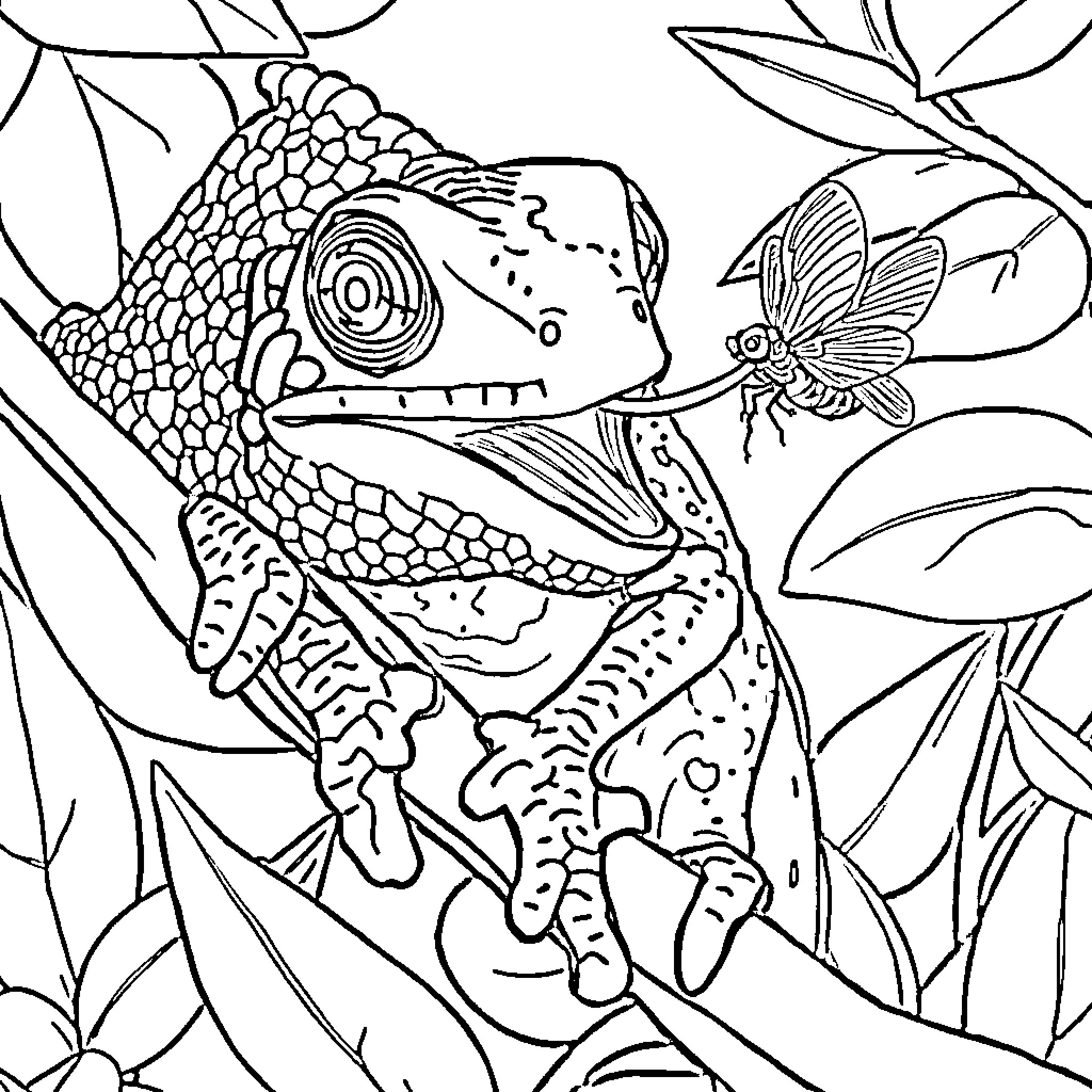 Chameleon encountering a curious butterfly Coloring Page (free black-and-white line drawing printable PDF for all, from beginners to advanced learners, including children, teens, adults, and seniors)