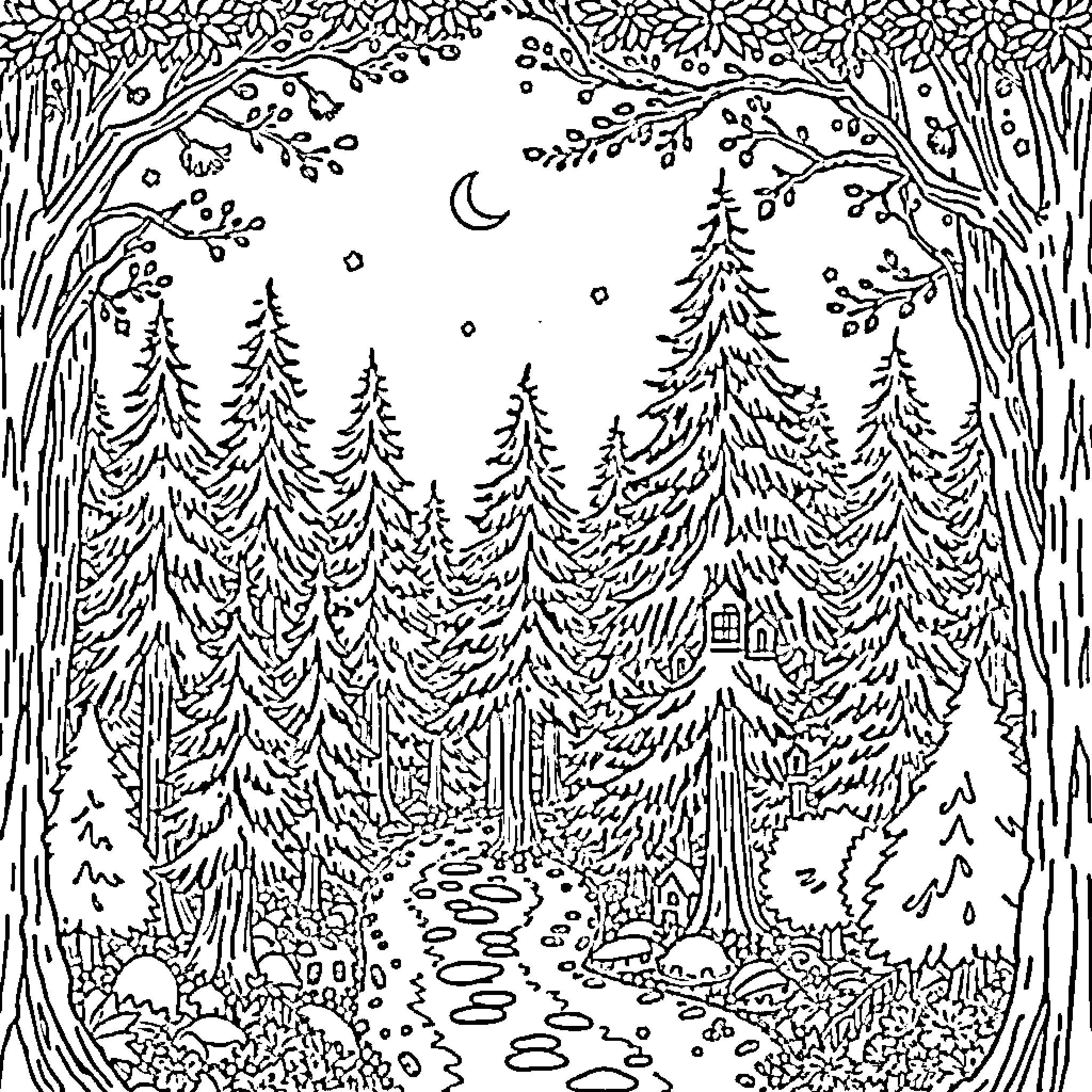 Forest scene with snowy pine trees and moonlit path Coloring Page (free black-and-white line drawing printable PDF for all, from beginners to advanced learners, including children, teens, adults, and seniors)