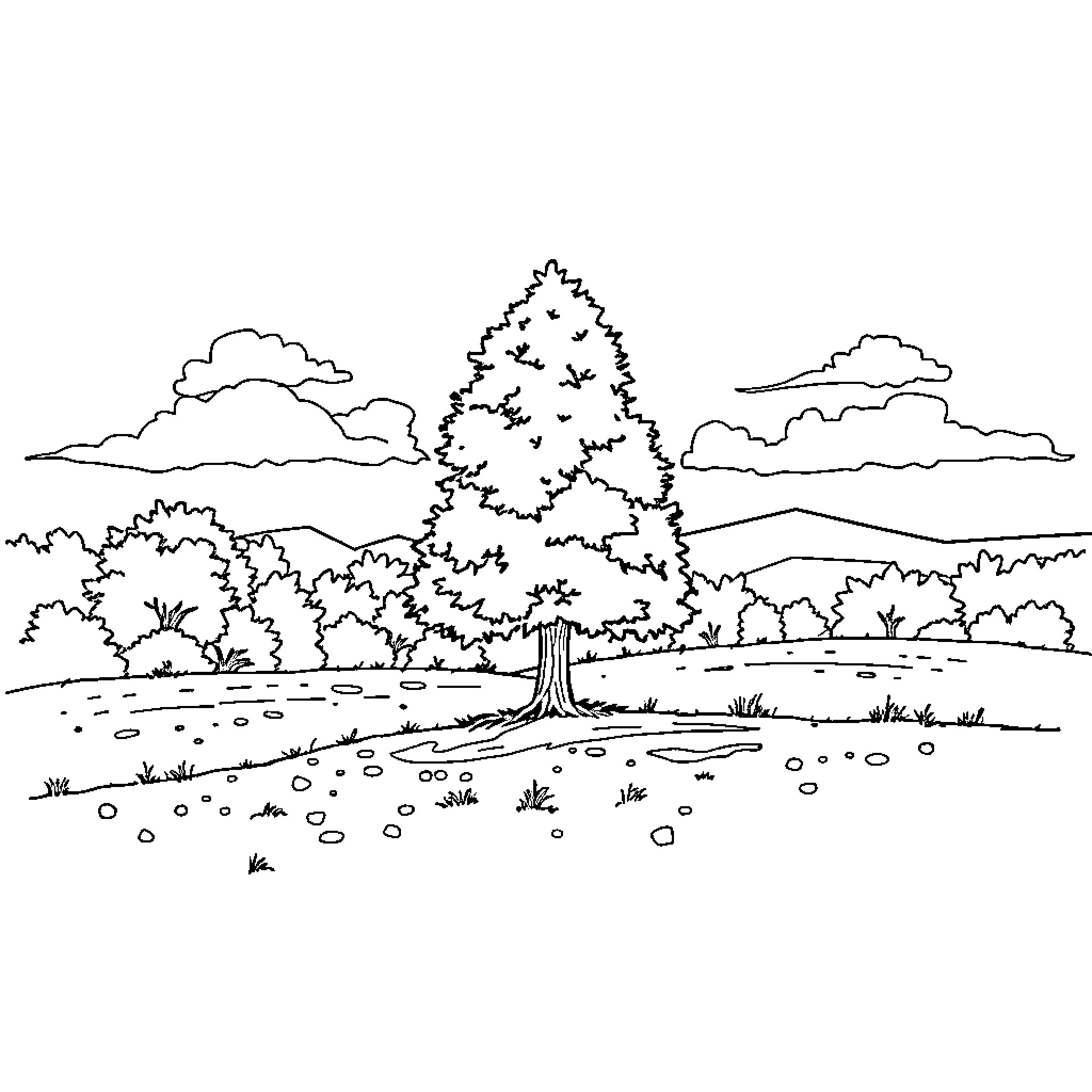 Tree in a peaceful countryside landscape Coloring Page (free black-and-white line drawing printable PDF for all, from beginners to advanced learners, including children, teens, adults, and seniors)