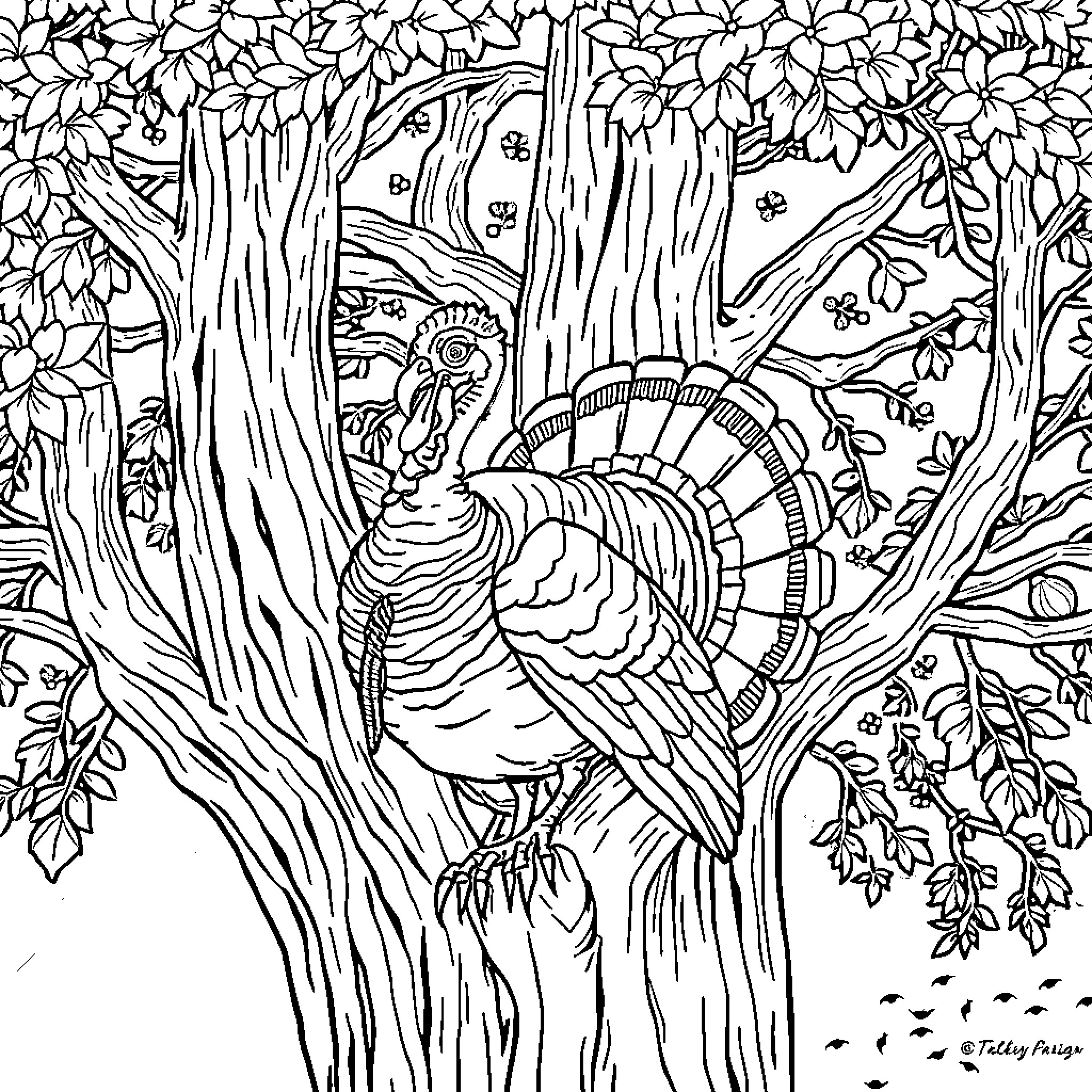 Turkey in the Enchanted Forest Coloring Page (free black-and-white line drawing printable PDF for all, from beginners to advanced learners, including children, teens, adults, and seniors)