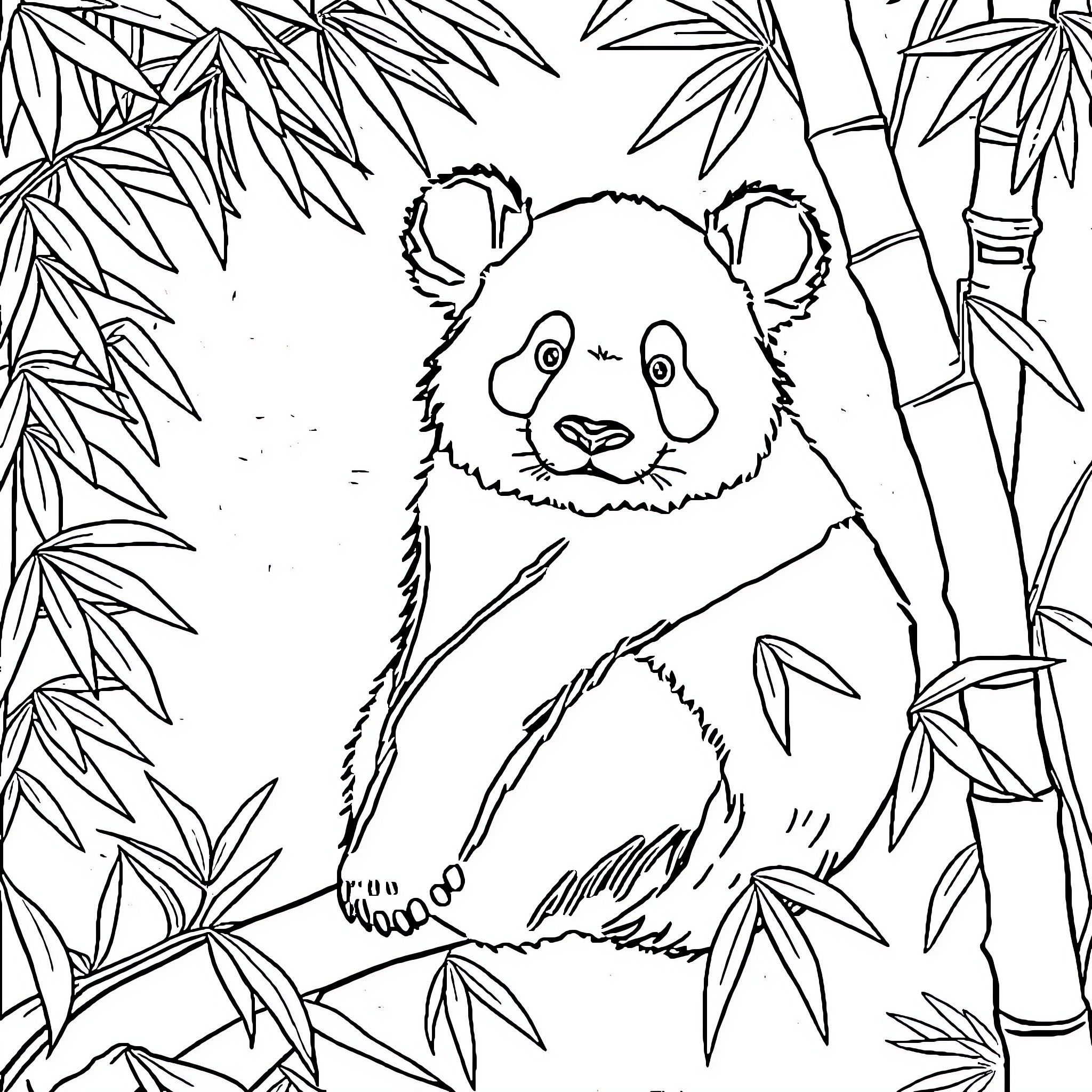 Panda in a bamboo forest Coloring Page (free black-and-white line drawing printable PDF for all, from beginners to advanced learners, including children, teens, adults, and seniors)