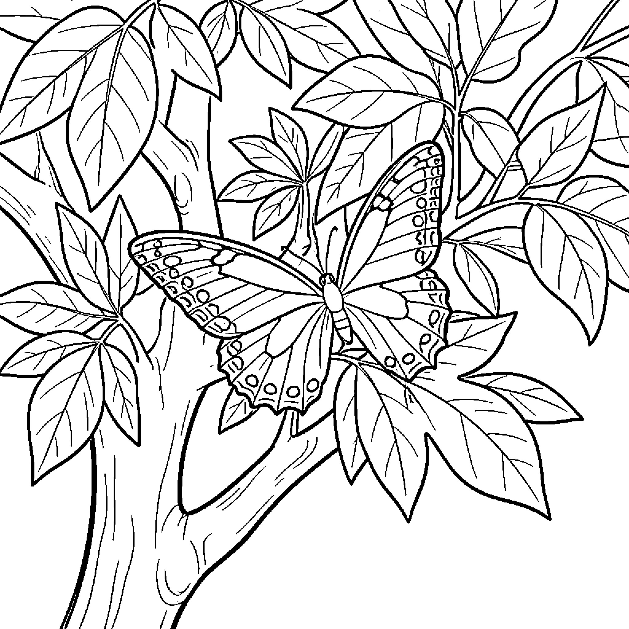 Butterfly resting on leaves of a tree branch Coloring Page (free black-and-white line drawing printable PDF for all, from beginners to advanced learners, including children, teens, adults, and seniors)