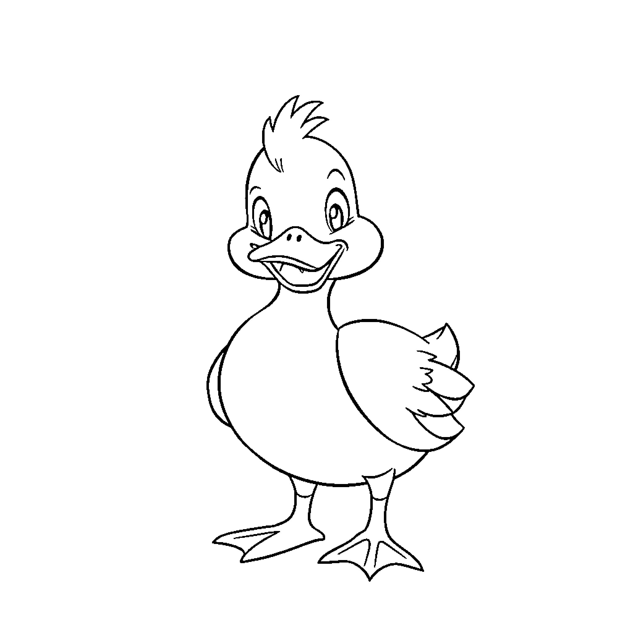 HuckerDuck - Cartoon duck character illustration Coloring Page (free black-and-white line drawing printable PDF for all, from beginners to advanced learners, including children, teens, adults, and seniors)