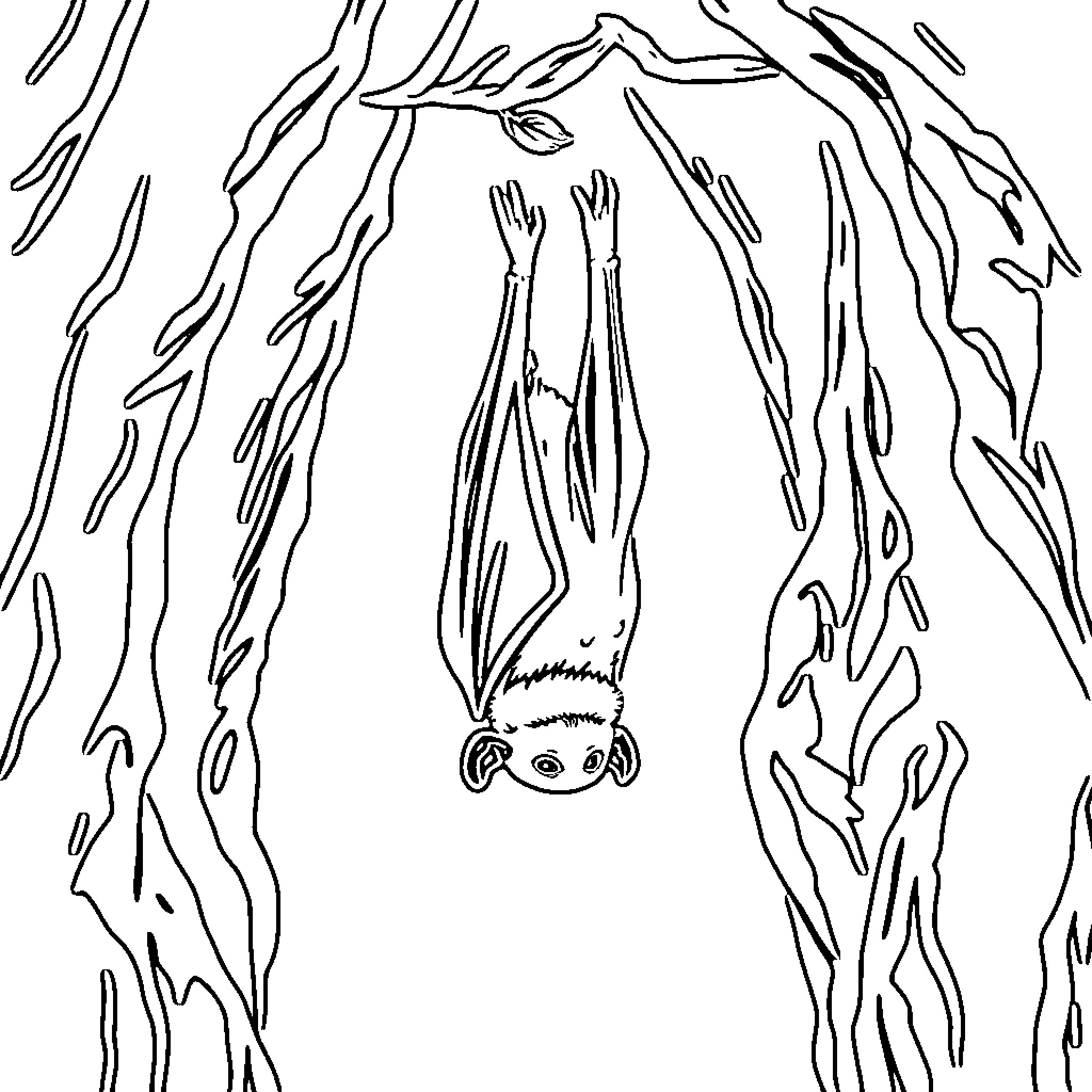 Bat hanging upside down in cave Coloring Page (free black-and-white line drawing printable PDF for all, from beginners to advanced learners, including children, teens, adults, and seniors)