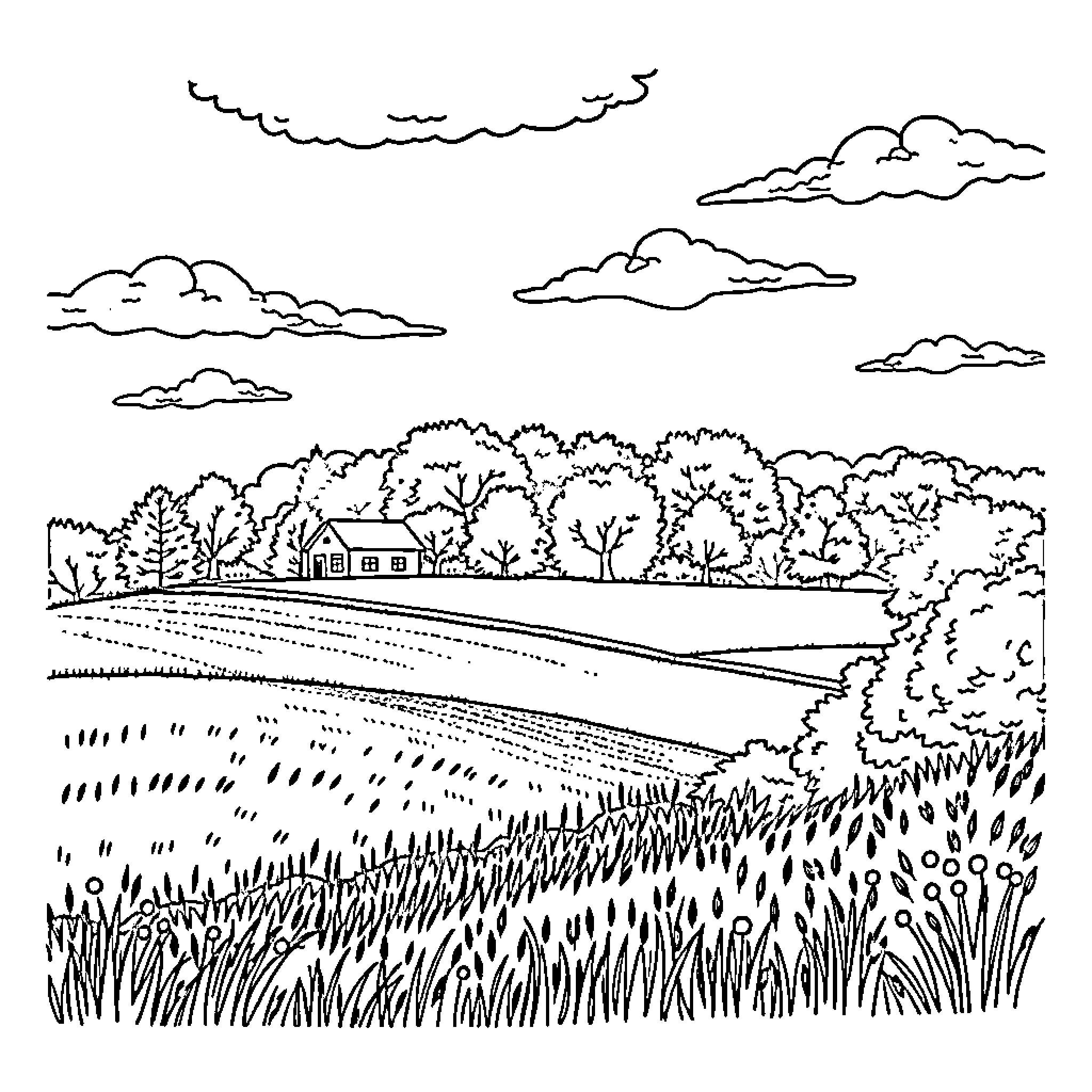 Country Scene with Houses and Trees in Field Coloring Page (free black-and-white line drawing printable PDF for all, from beginners to advanced learners, including children, teens, adults, and seniors)