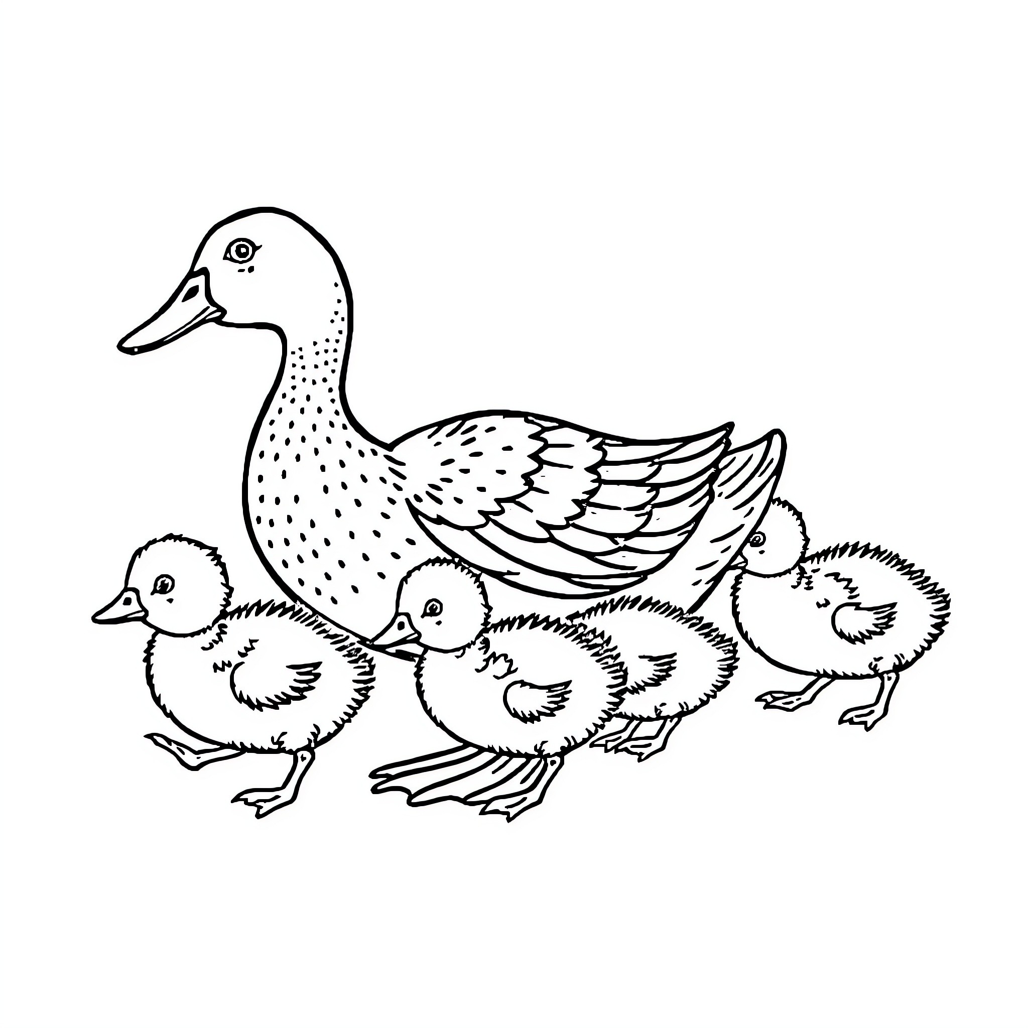 Duck and her ducklings Coloring Page (free black-and-white line drawing printable PDF for all, from beginners to advanced learners, including children, teens, adults, and seniors)