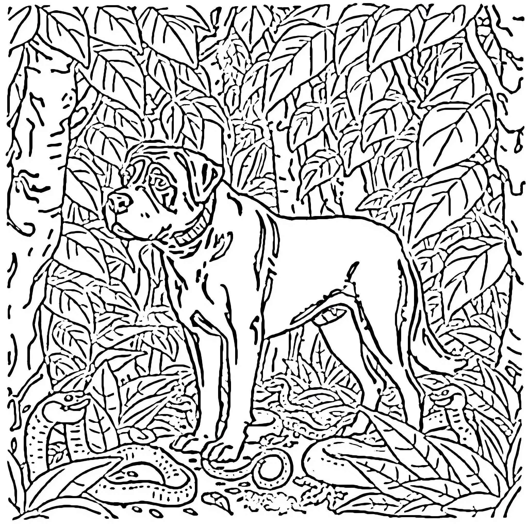 Dog exploring lush foliage Coloring Page (free black-and-white line drawing printable PDF for all, from beginners to advanced learners, including children, teens, adults, and seniors)