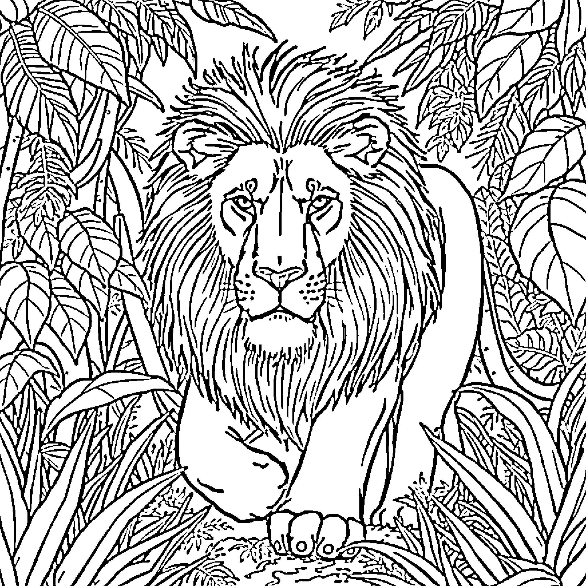 Lion resting in lush jungle foliage Coloring Page (free black-and-white line drawing printable PDF for all, from beginners to advanced learners, including children, teens, adults, and seniors)