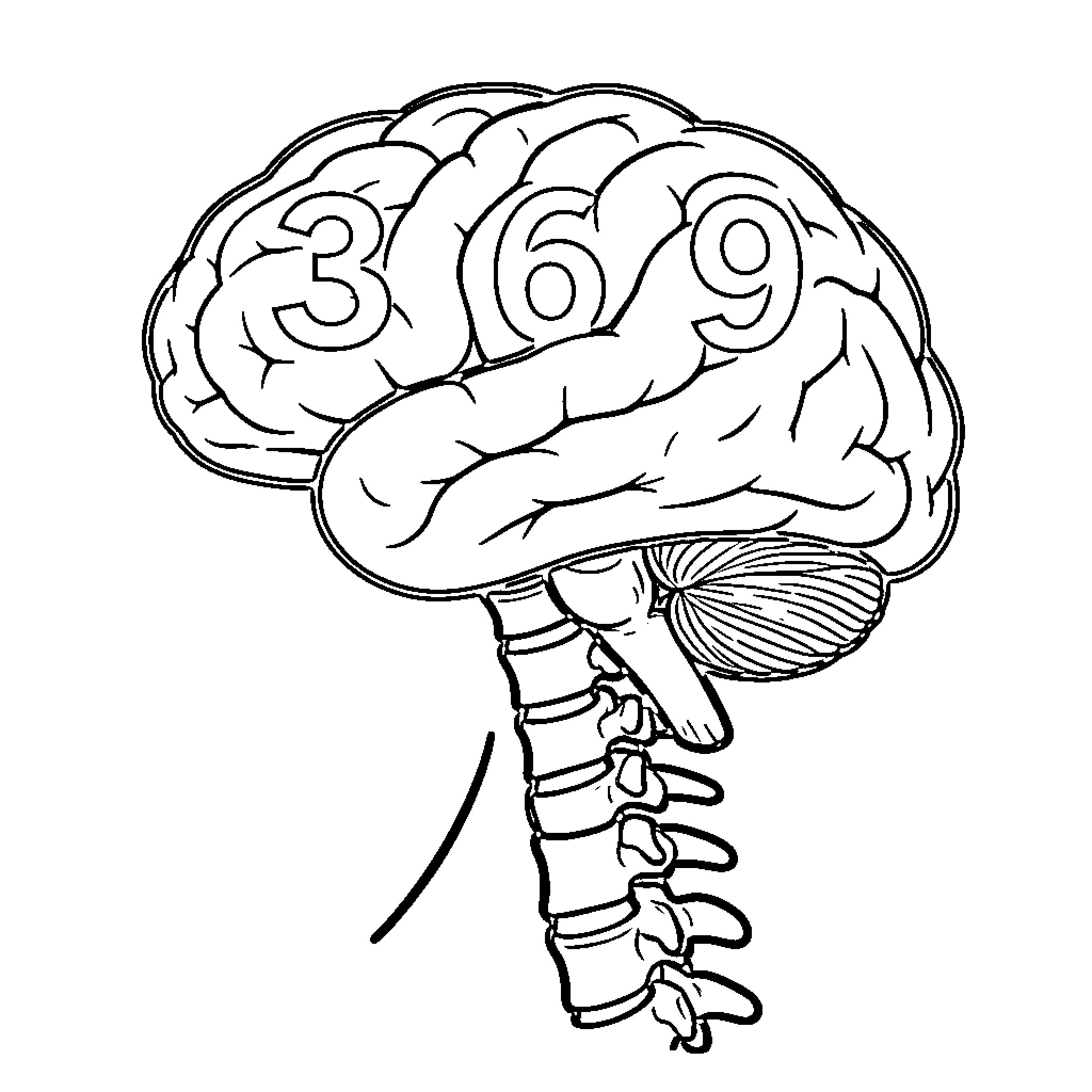 Brain displaying numeric patterns within its structure Coloring Page (free black-and-white line drawing printable PDF for all, from beginners to advanced learners, including children, teens, adults, and seniors)