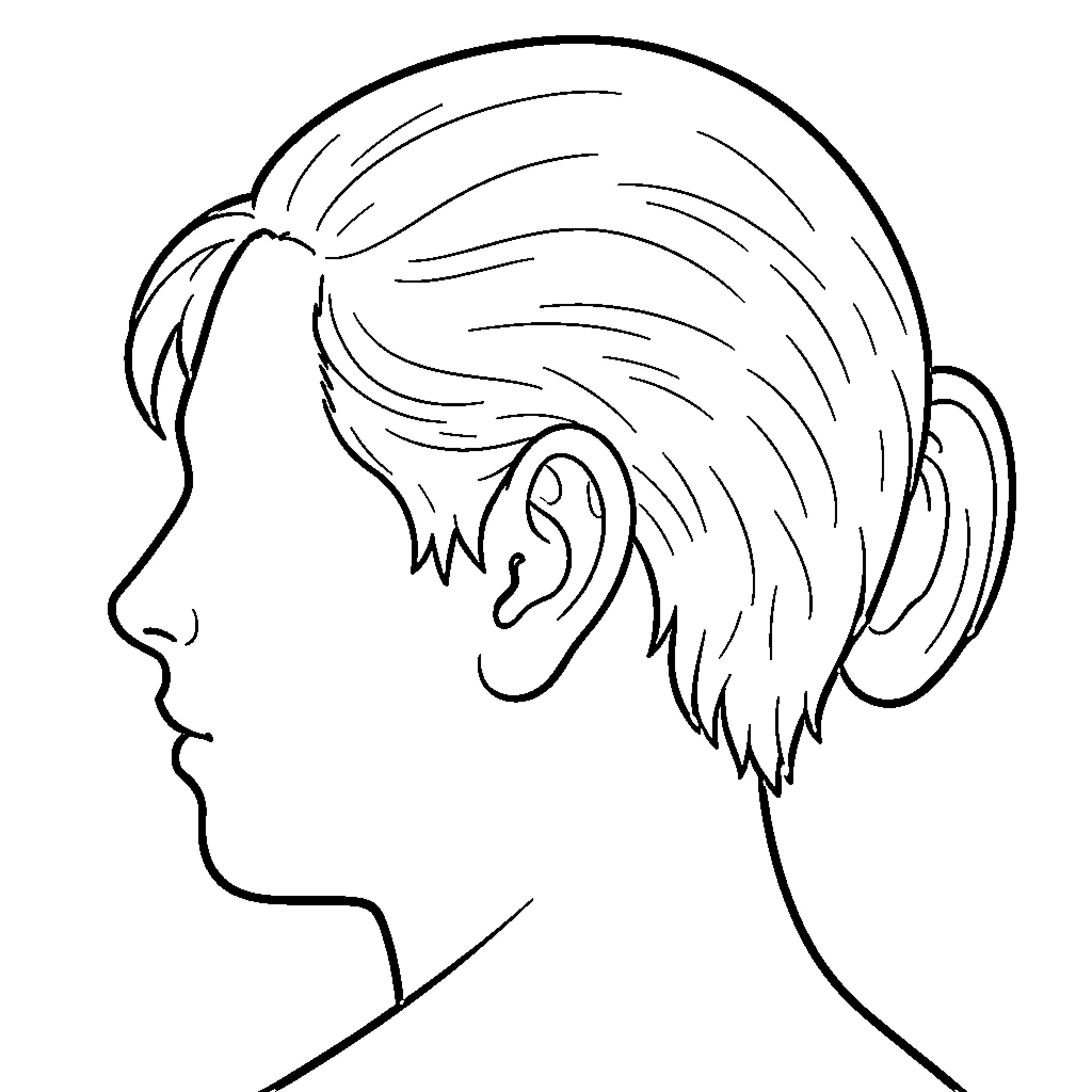 Ear and profile of a person with hair in a bun Coloring Page (free black-and-white line drawing printable PDF for all, from beginners to advanced learners, including children, teens, adults, and seniors)