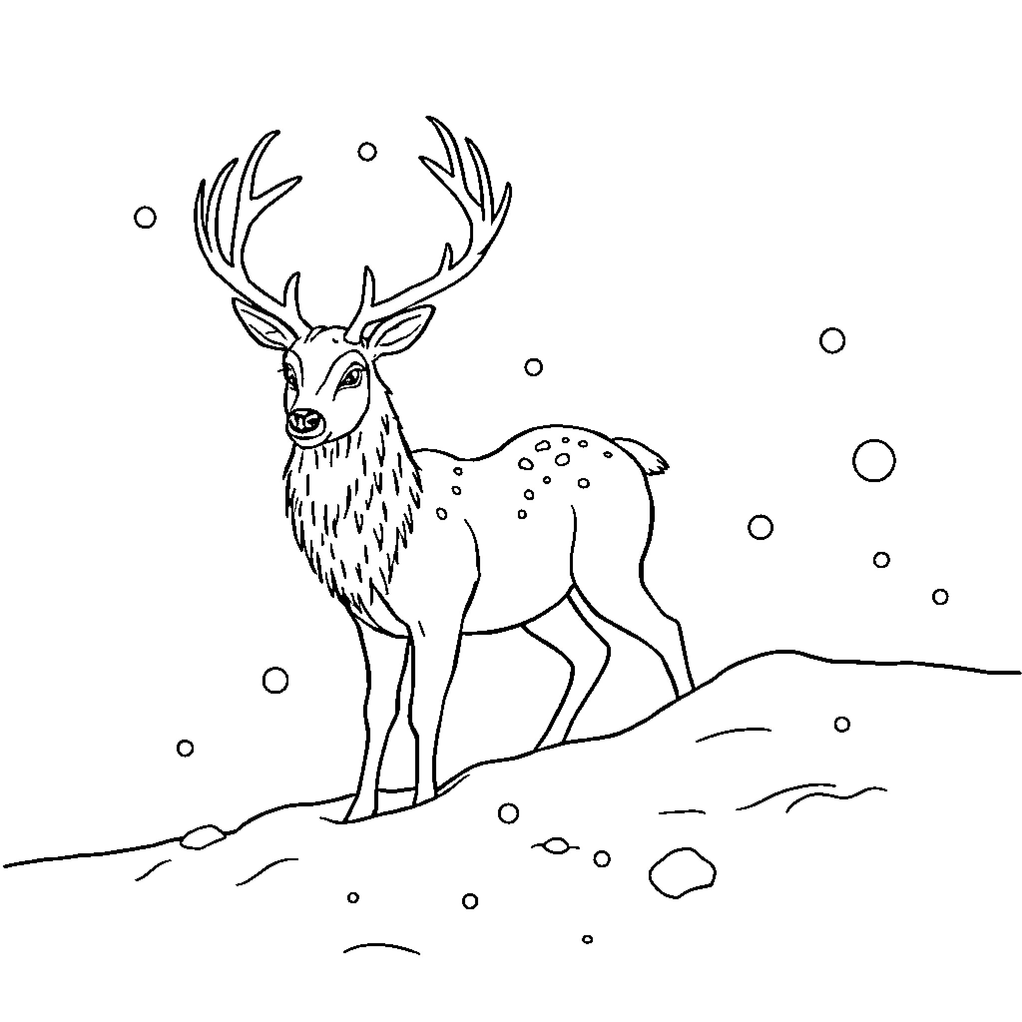 Snow Queen Deer in Snowy Landscape Coloring Page (free black-and-white line drawing printable PDF for all, from beginners to advanced learners, including children, teens, adults, and seniors)