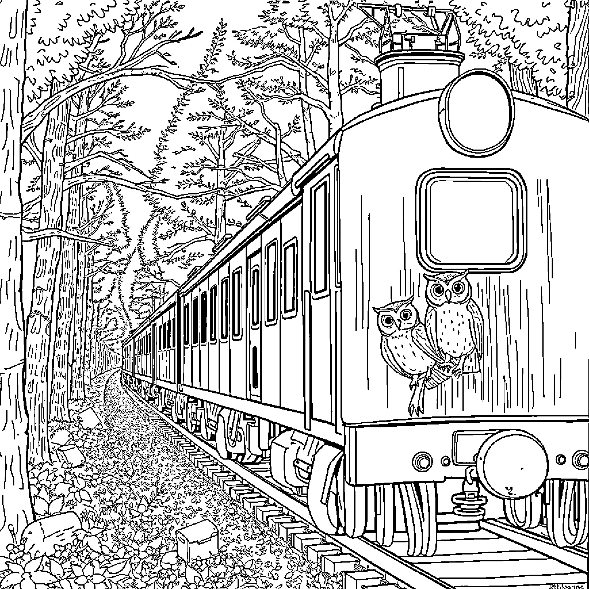 Owl-eyed Conductor aboard Whimsical Forest Train Coloring Page (free black-and-white line drawing printable PDF for all, from beginners to advanced learners, including children, teens, adults, and seniors)