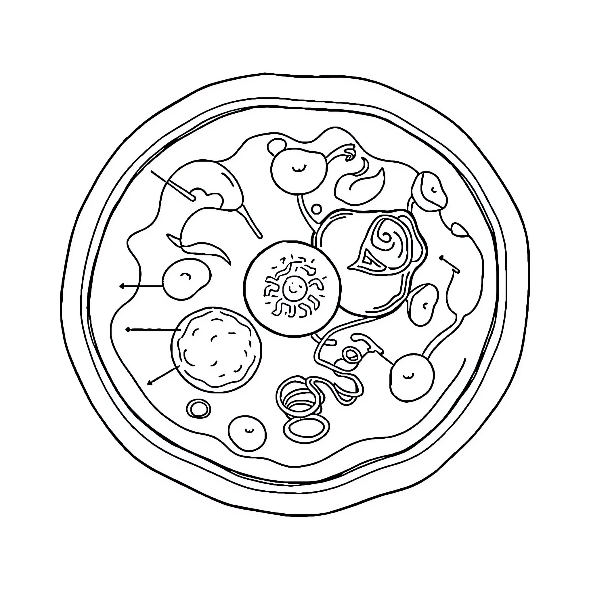 Animal Cell Diagram of Cellular Structures Coloring Page (free black-and-white line drawing printable PDF for all, from beginners to advanced learners, including children, teens, adults, and seniors)