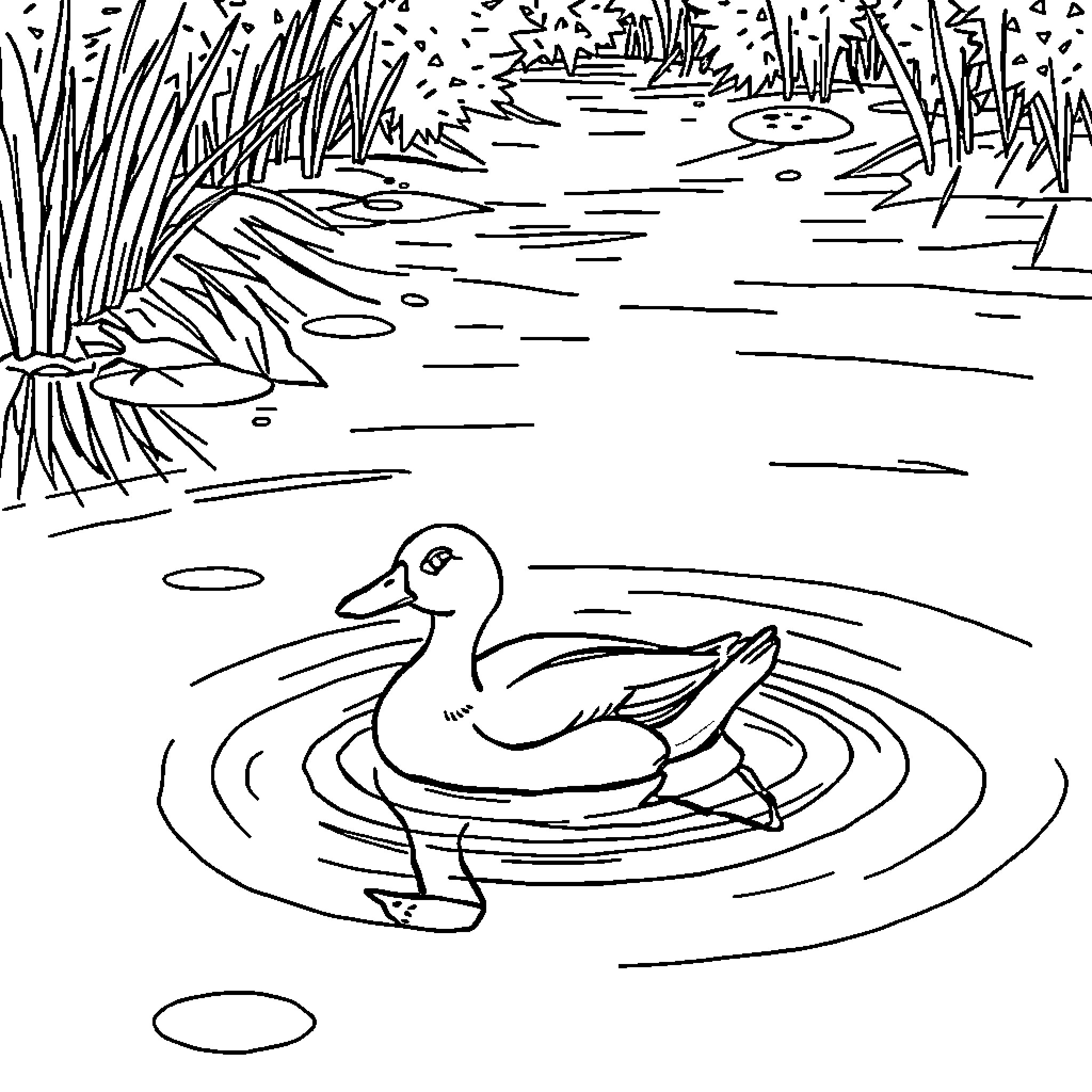 Duck swimming peacefully in pond Coloring Page (free black-and-white line drawing printable PDF for all, from beginners to advanced learners, including children, teens, adults, and seniors)