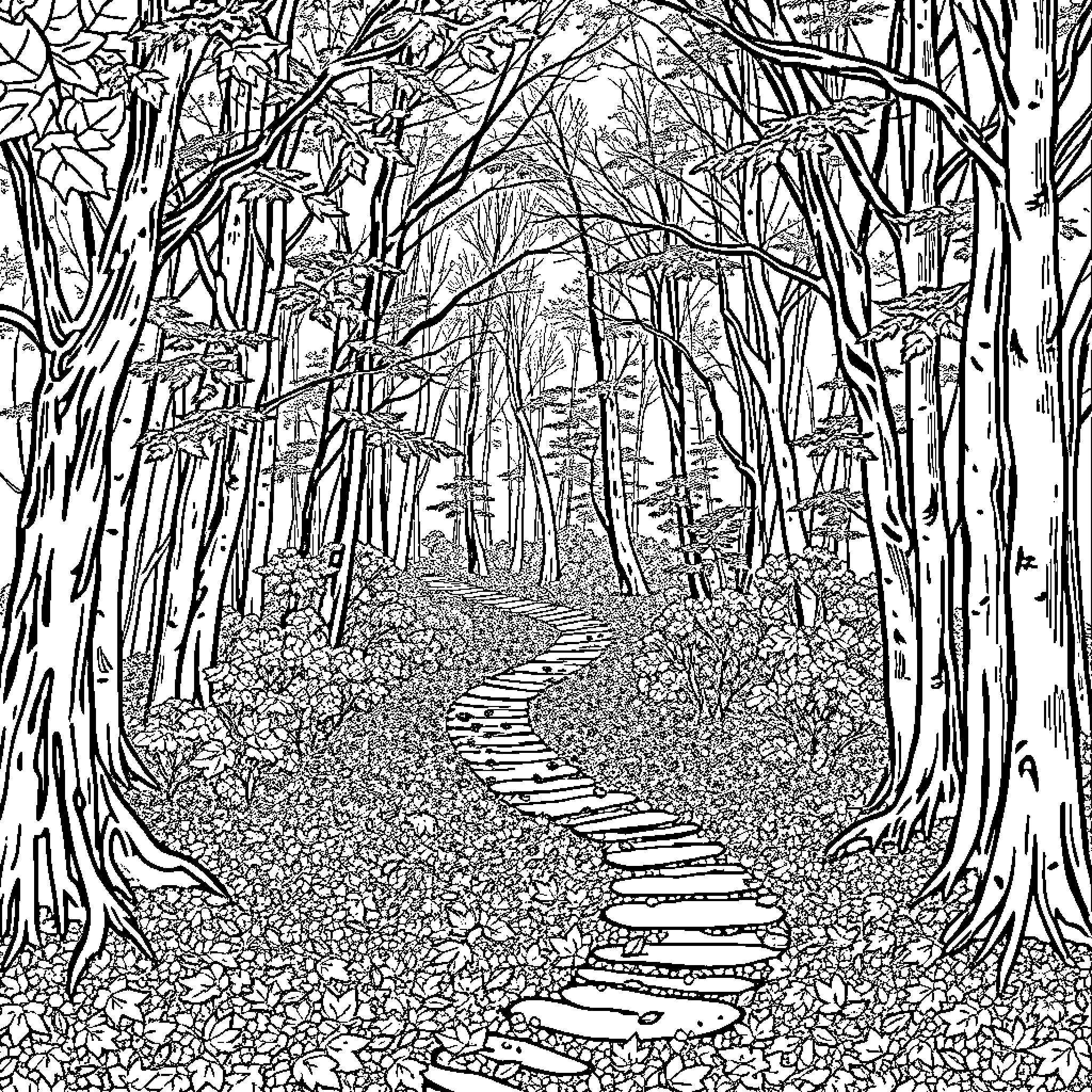 Forest Trail Through Winding Trees Coloring Page (free black-and-white line drawing printable PDF for all, from beginners to advanced learners, including children, teens, adults, and seniors)