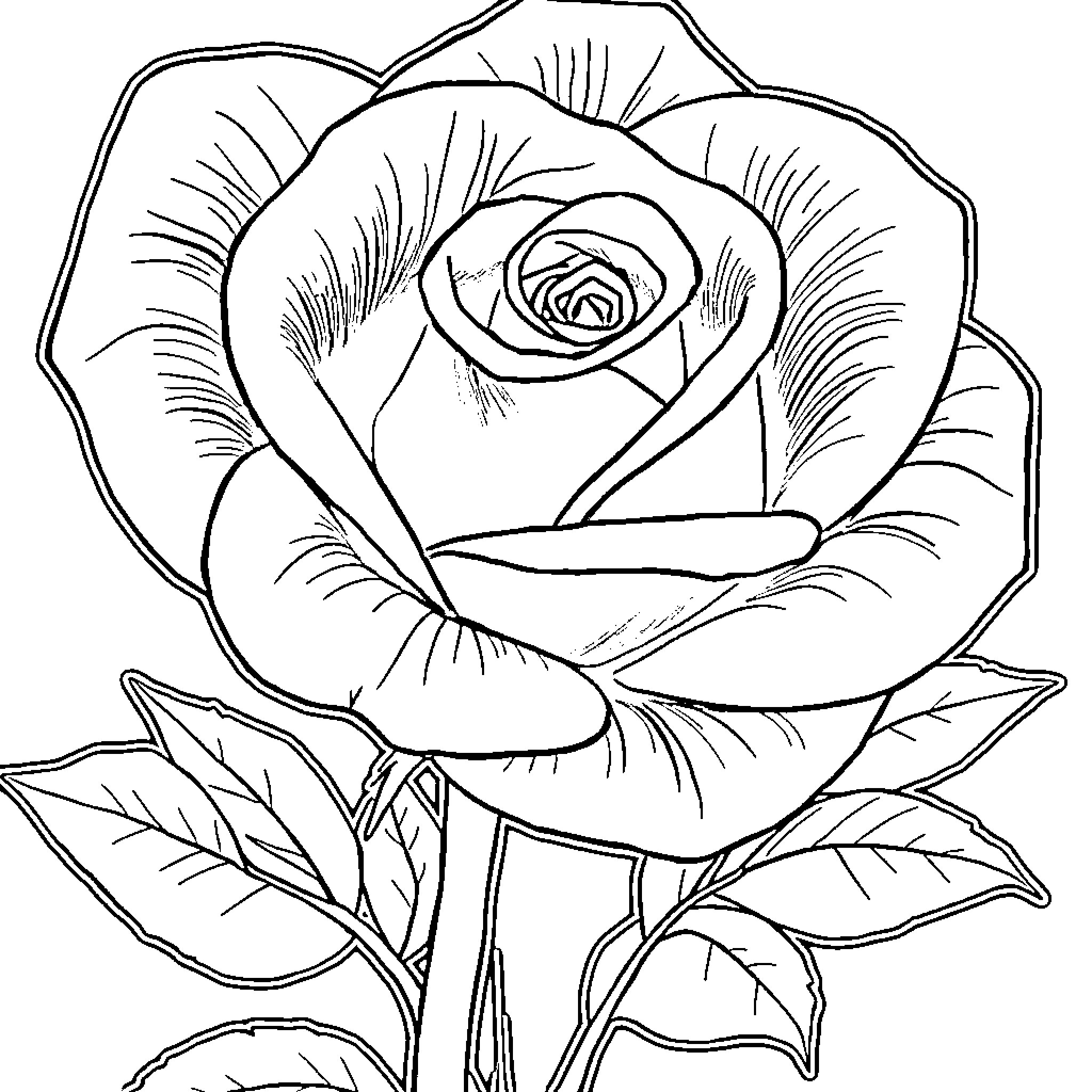 Flamingo rose in full bloom Coloring Page (free black-and-white line drawing printable PDF for all, from beginners to advanced learners, including children, teens, adults, and seniors)