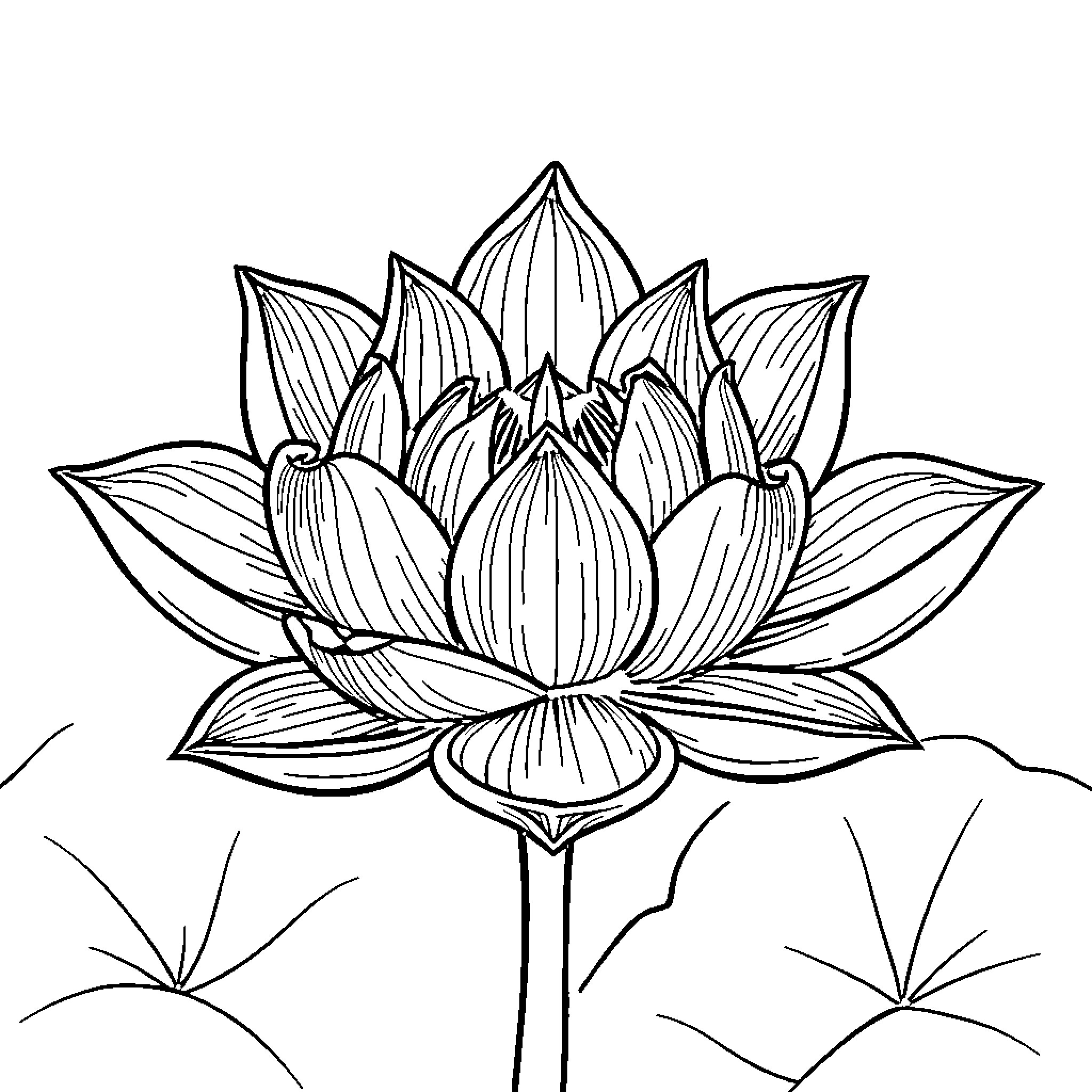 Lotus flower in elegant bloom Coloring Page (free black-and-white line drawing printable PDF for all, from beginners to advanced learners, including children, teens, adults, and seniors)
