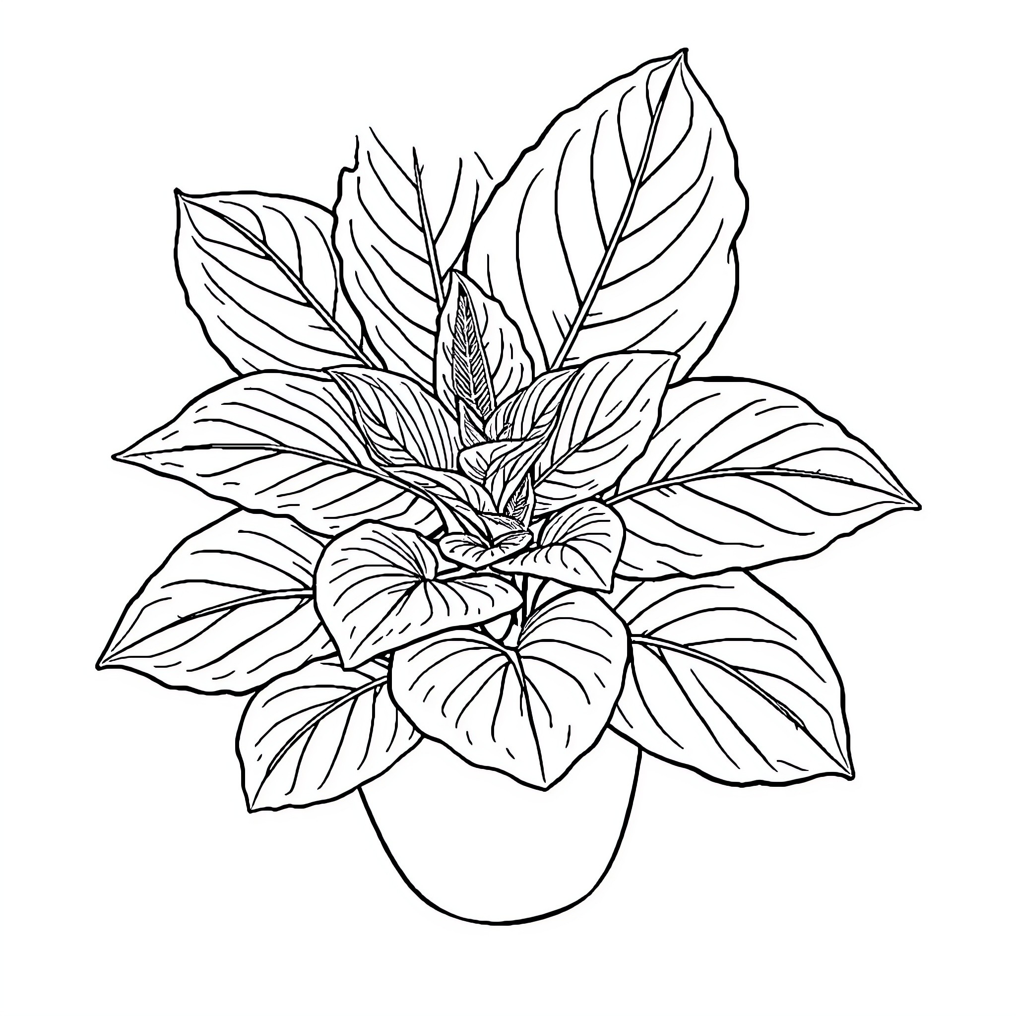 Coleus plant with intricate leaf patterns Coloring Page (free black-and-white line drawing printable PDF for all, from beginners to advanced learners, including children, teens, adults, and seniors)