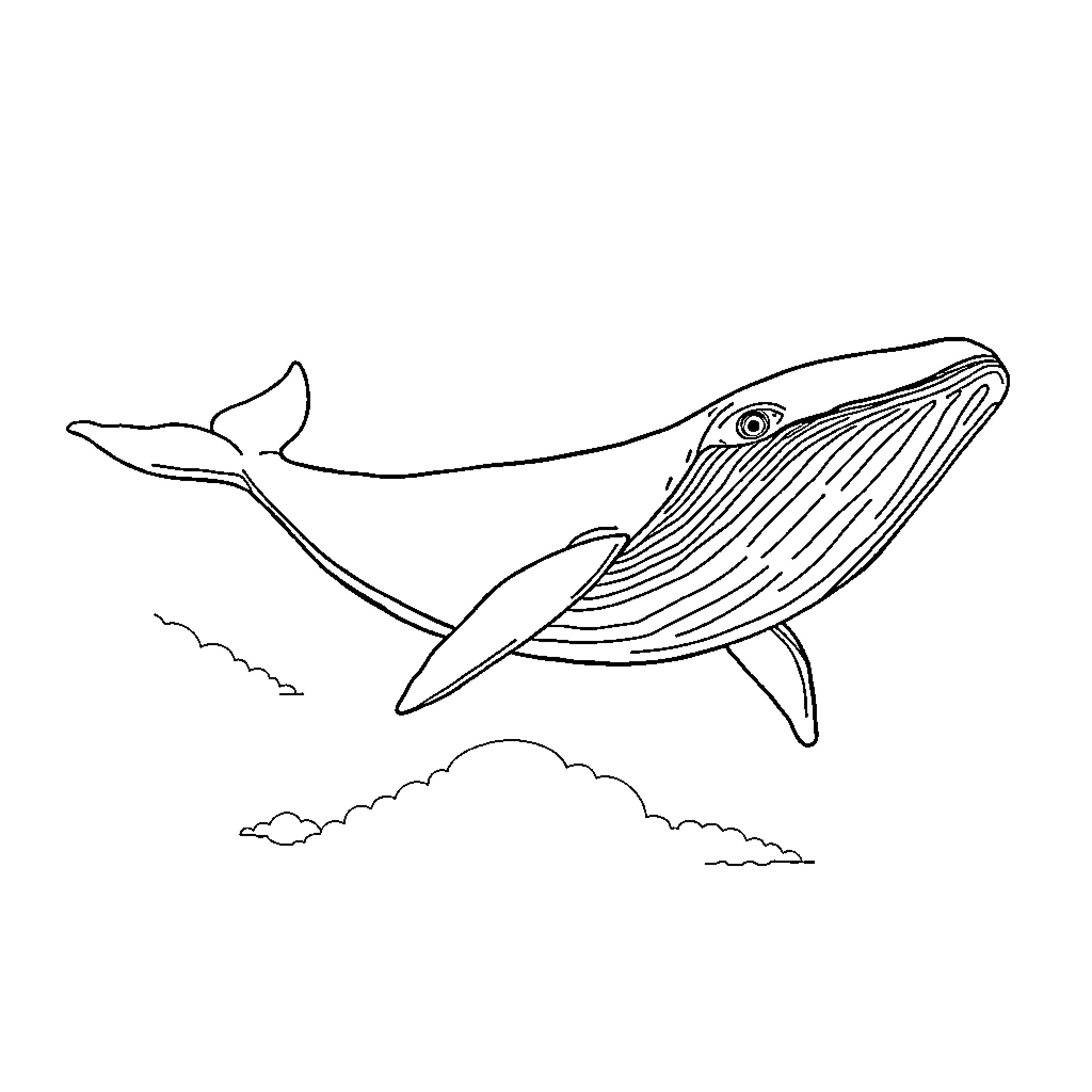 Whale swimming gracefully in the ocean Coloring Page (free black-and-white line drawing printable PDF for all, from beginners to advanced learners, including children, teens, adults, and seniors)