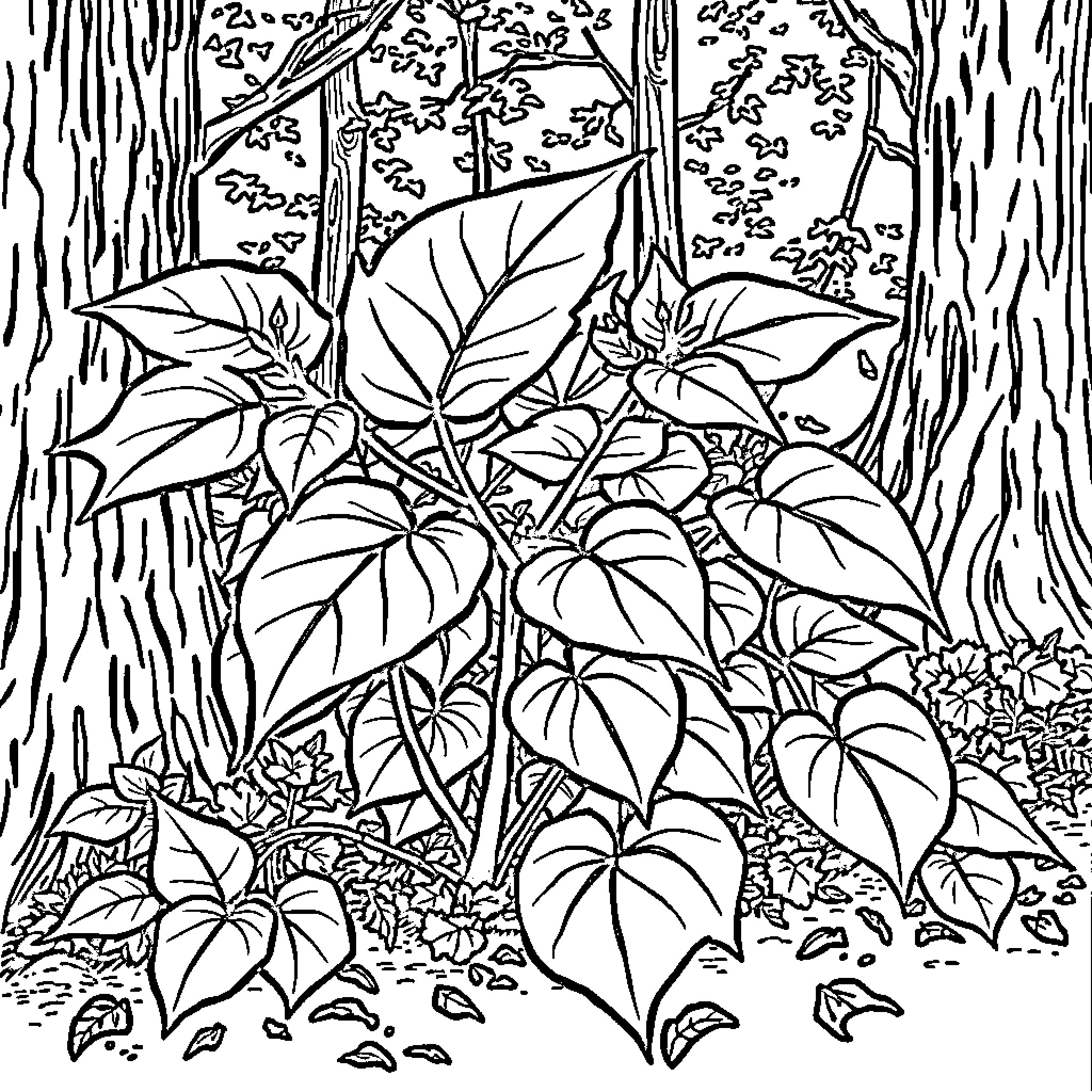 Poison Ivy in a Lush Forest Coloring Page (free black-and-white line drawing printable PDF for all, from beginners to advanced learners, including children, teens, adults, and seniors)