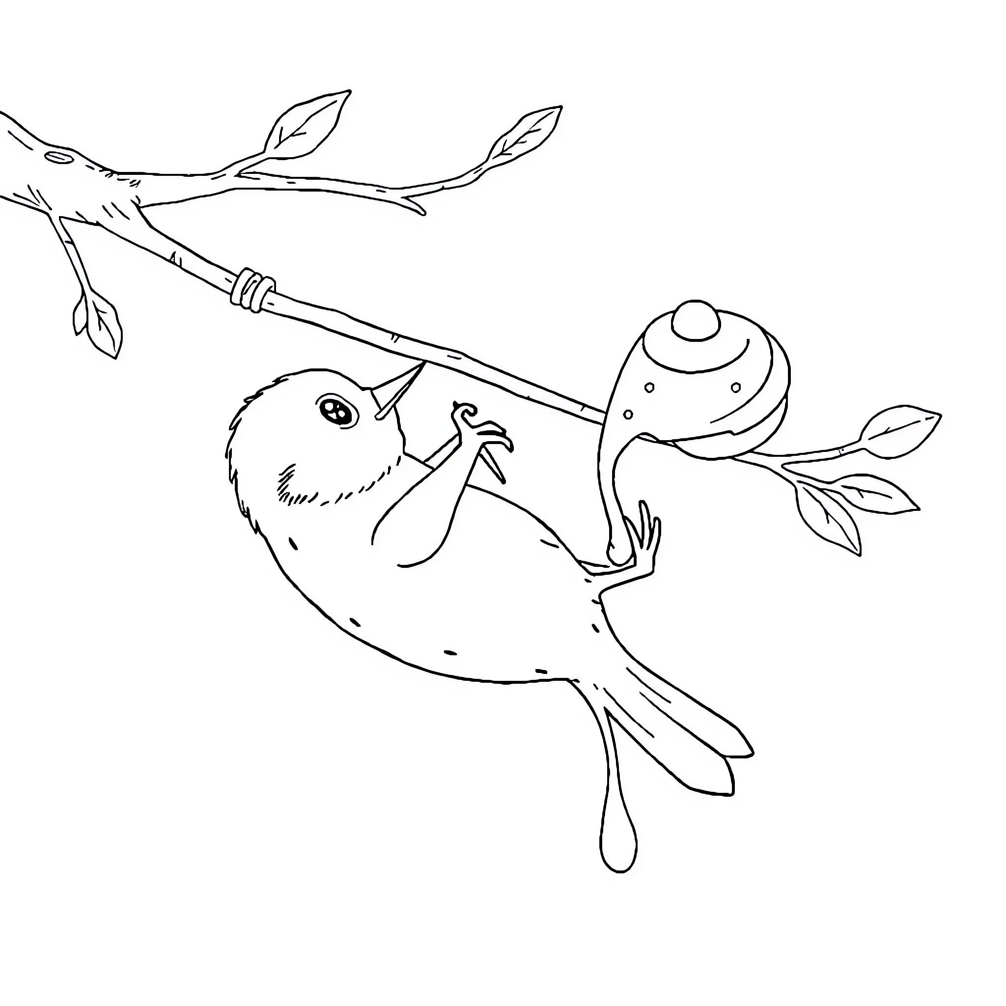 Bat perched on branch with curious expression Coloring Page (free black-and-white line drawing printable PDF for all, from beginners to advanced learners, including children, teens, adults, and seniors)