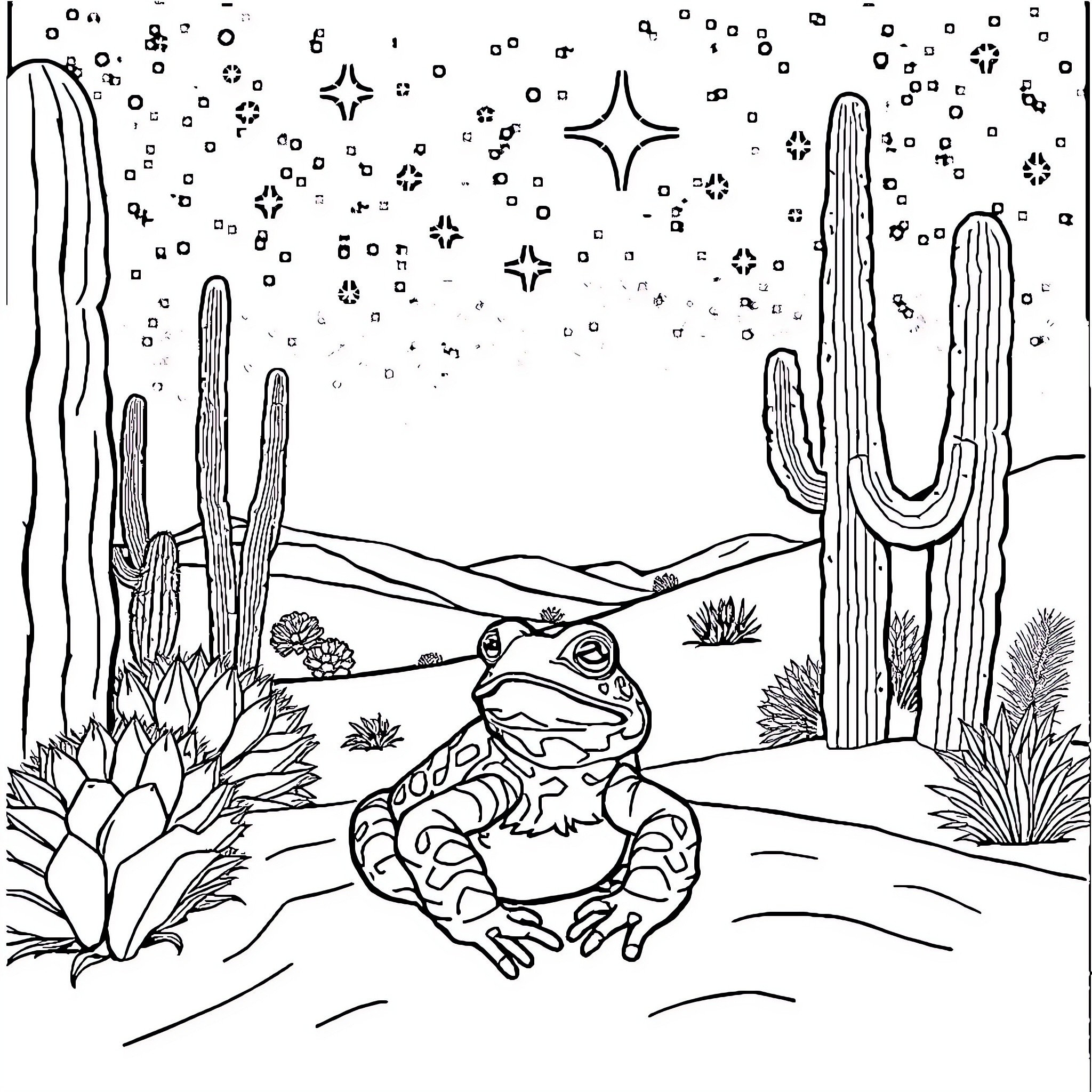 Toad in a desert landscape with cacti and stars Coloring Page (free black-and-white line drawing printable PDF for all, from beginners to advanced learners, including children, teens, adults, and seniors)