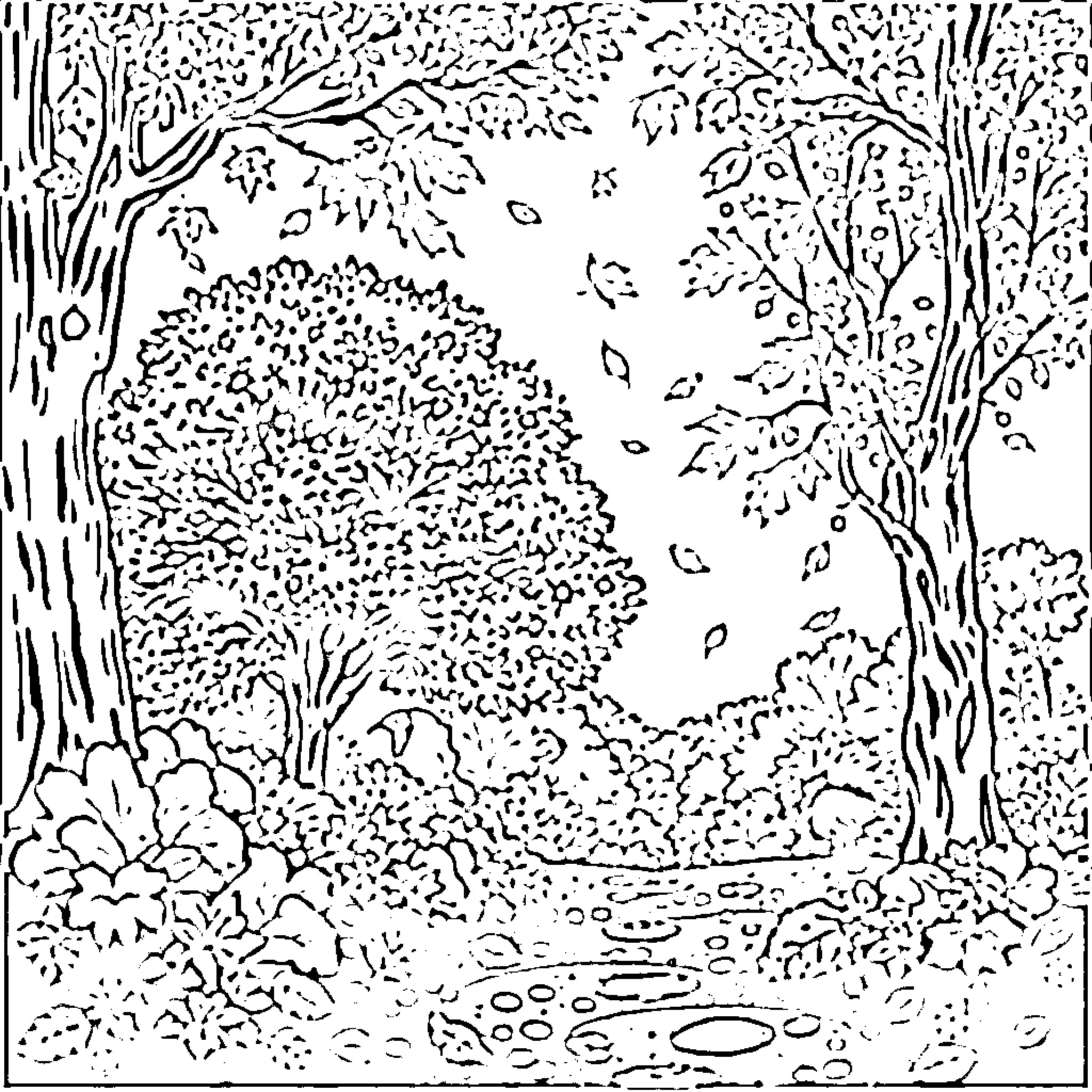 Fall Foliage in the Forest Coloring Page (free black-and-white line drawing printable PDF for all, from beginners to advanced learners, including children, teens, adults, and seniors)