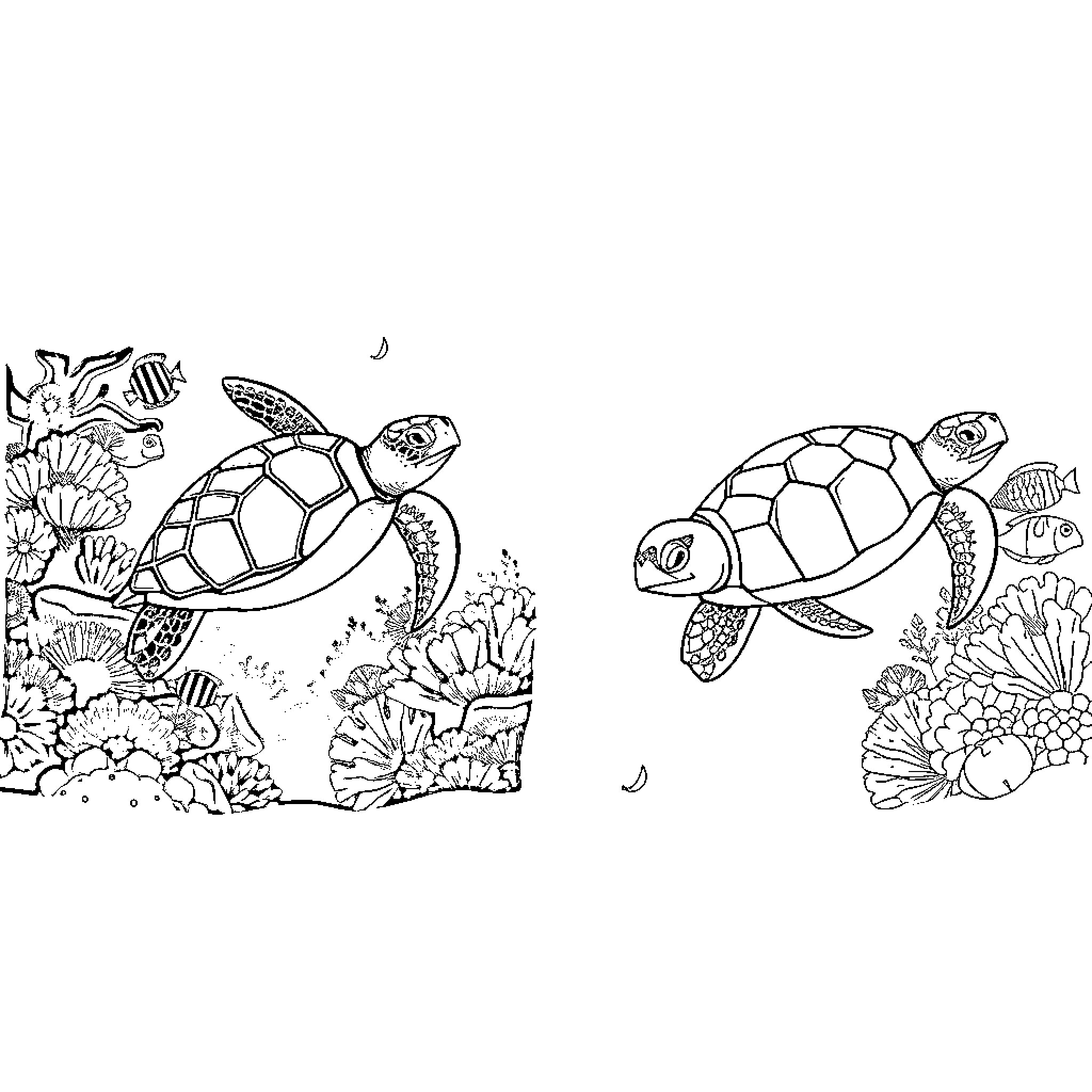 Sea Turtles swimming among coral reefs Coloring Page (free black-and-white line drawing printable PDF for all, from beginners to advanced learners, including children, teens, adults, and seniors)