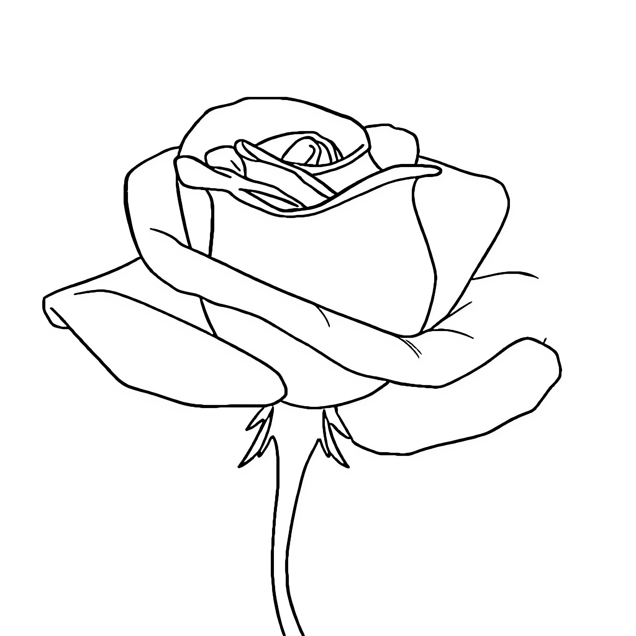 Rose in Delicate Outline Coloring Page (free black-and-white line drawing printable PDF for all, from beginners to advanced learners, including children, teens, adults, and seniors)