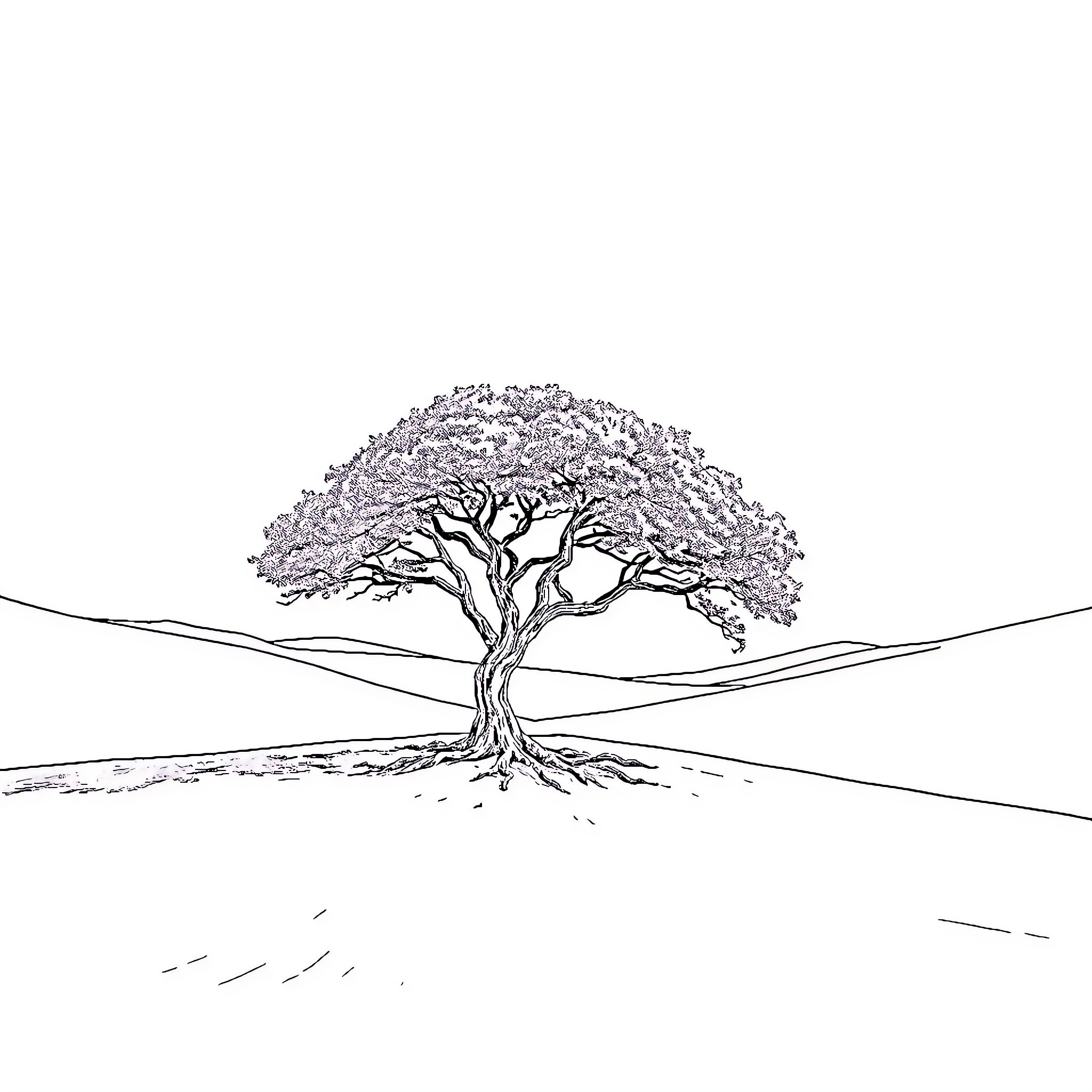 Tree standing tall on the horizon Coloring Page (free black-and-white line drawing printable PDF for all, from beginners to advanced learners, including children, teens, adults, and seniors)