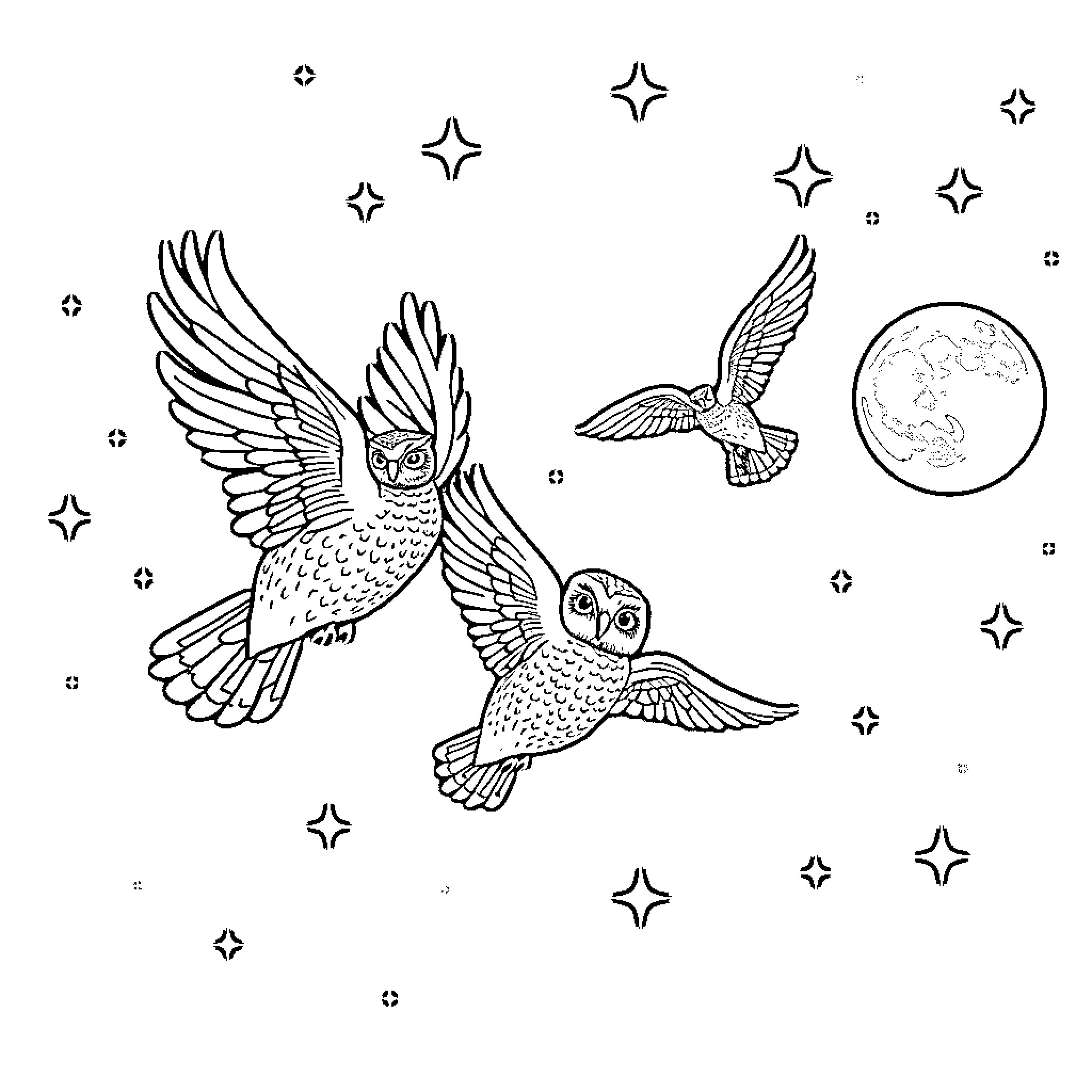 Owls flying among the stars Coloring Page (free black-and-white line drawing printable PDF for all, from beginners to advanced learners, including children, teens, adults, and seniors)